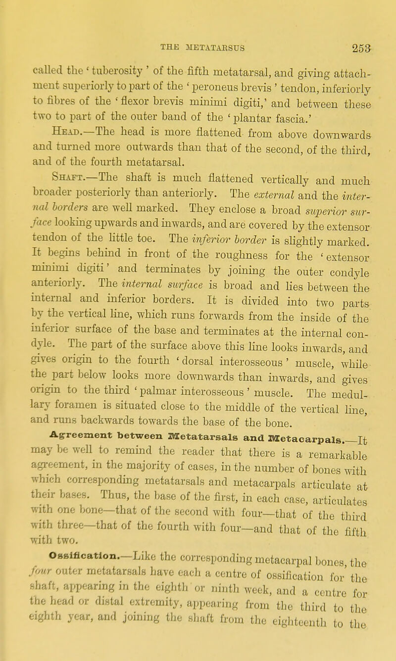 called the ' tuberosity ' of the fifth metatarsal, and giving attach- ment superiorly to part of the ' peroneus brevis ' tendon, inferiorly to fibres of the ' flexor brevis minimi digiti,' and between these two to part of the outer band of the ' plantar fascia.' Head.—The head is more flattened from above downwards and tm-ned more outwards than that of the second, of the third, and of the fourth metatarsal. Shaft.—The shaft is much flattened vertically and much broader posteriorly than anteriorly. The external and the inter- nal borders are well marked. They enclose a broad superior sur- face looking upwards and inwards, and are covered by the extensor tendon of the little toe. The inferior border is sHghtly marked. It begms behind m front of the roughness for the 'extensor minimi digiti' and terminates by joining the outer condyle anteriorly. The internal surface is broad and lies between the internal and inferior borders. It is divided into two parts by the vertical line, which runs forwards from the inside of the inferior surface of the base and terminates at the internal con- dyle. The part of the surface above this line looks inwards, and gives origin to the fourth 'dorsal interosseous' muscle, while the part below looks more downwards than inwards, and gives origin to the thii-d ' palmar interosseous ' muscle. The medul- lary foramen is situated close to the middle of the vertical line, and rtms backwards towards the base of the bone. Agreement between metatarsals and Ittetaearpals.—It may be well to remind the reader that there is a remarkable agreement, in the majority of cases, in the number of bones with which corresponding metatarsals and metacarpals articulate at their bases. Thus, the base of the first, in each case, articulates with one bone—that of the second with four—that of the thu-d with three—that of the fourth with four—and that of the fifth with two. Ossificatlon.-Like the corresponding metacarpal bones the frmr outer metatarsals have each a centre of ossification for' the shaft, appearing in the eighth or ninth week, and a centre for the head or distal extremity, appearing from the third to the eighth year, and joining the shaft from the eighteenth to the