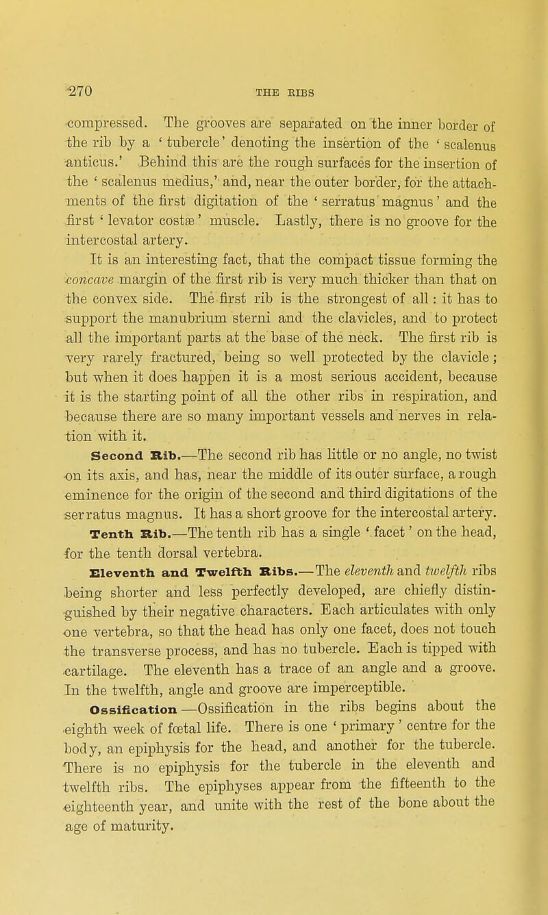 compressed. The grooves are separated on the inner border of the rib by a ' tubercle' denoting the insertion of the ' scalenus •anticus.' Behind this are the rough surfaces for the insertion of the ' scalenus medius,' and, near the outer border, for the attach- ments of the first digitation of the ' serratus'magnus' and the first ' levator costse' muscle. Lastly, there is no groove for the intercostal artery. It is an interesting fact, that the compact tissue forming the xoncave margin of the first rib is very much thicker than that on the convex side. The first rib is the strongest of all: it has to support the manubrium sterni and the clavicles, and to protect all the important parts at the base of the neck. The first rib is very rarely fractured, being so well protected by the clavicle ; but when it does happen it is a most serious accident, because it is the starting point of all the other ribs in respiration, and because there are so many important vessels and nerves in rela- tion with it. Second Bib.—The second rib has little or no angle, no twist -on its axis, and has, near the middle of its outer surface, a rough eminence for the origin of the second and third digitations of the serratus magnus. It has a short groove for the intercostal artery. Tenth Rib.—The tenth rib has a single ' facet' on the head, for the tenth dorsal vertebra. Eleventh and Twelfth Bibs.—The eleventh and tioelfth ribs being shorter and less perfectly developed, are chiefly distin- guished by their negative characters. Bach articulates with only one vertebra, so that the head has only one facet, does not touch the transverse process, and has no tubercle. Each is tipped with cartilage. The eleventh has a trace of an angle and a groove. In the twelfth, angle and groove are imperceptible. Ossification—Ossification in the ribs begins about the ■eighth week of foetal life. There is one ' primary ' centre for the body, an epiphysis for the head, and another for the tubercle. •There is no epiphysis for the tubercle in the eleventh and twelfth ribs. The epiphyses appear from the fifteenth to the eighteenth year, and unite with the rest of the bone about the age of maturity.