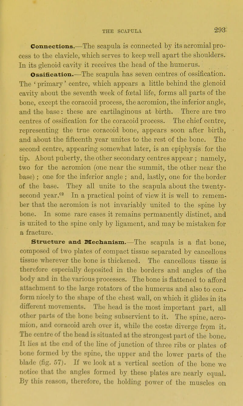 Connections.—The scapula is connected by its acromial pro- cess to the clavicle, which serves to keep well apart the shoulders. In its glenoid cavity it receives the head of the humerus. Ossification.—The scapula has seven centres of ossification. The ' primary' centre, which appears a little behind the glenoid cavity about the seventh week of foetal life, forms all parts of the bone, except the coracoid process, the acromion, the inferior angle, and the base: these are cartilaginous at birth. There are two centres of ossification for the coracoid process. The chief centre, representing the true coracoid bone, appears soon after birth, and about the fifteenth year unites to the rest of the bone. The second centre, appearing somewhat later, is an epiphysis for the tip. About puberty, the other secondary centres appear ; namely, two for the acromion (one near the summit, the other near the base); one for the inferior angle ; and, lastly, one for the border of the base. They all unite to the scapula about the twenty- second year.^^ In a practical point of view it is well to remem-^ ber that the acromion is not invariably united to the spine by bone. In some rare cases it remains permanently distinct, and is united to the spine only by ligament, and may be mistaken for a fractm*e. Structure and Mechanism.—The scapula is a flat bone, composed of two plates of compact tissue separated by cancellous tissue wherever the bone is thickened. The cancellous tissue is therefore especially deposited in the borders and angles of the body and in the various processes. The bone is flattened to afford attachment to the large rotators of the humerus and also to con- form nicely to the shape of the chest wall, on which it glides in its different movements. The head is the most important part, all other parts of the bone being subservient to it. The spine, acro- mion, and coracoid arch over it, while the costas diverge from it. The centre of the head is situated at the strongest part of the bone.' It lies at the end of the line of junction of three ribs or plates of bone formed by the spine, the upper and the lower parts of the blade (fig. 57). If we look at a vertical section of the bone we notice that the angles formed by these plates are nearly equal. By this reason, therefore, the holding power of the muscles on