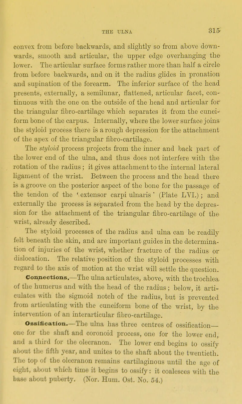 315- convex from before backwards, and slightly so from above down- wards, smooth and articular, the upper edge overhanging the lower. The articular surface forms rather more than half a circle from before backwards, and on it the radius glides in pronation and supination of the forearm. The inferior surface of the head presents, externally, a semilunar, flattened, articular facet, con- tinuous with the one on the outside of the head and articular for the triangular fibro-cartilage which separates it from the cmiei- form bone of the carpus. Internally, where the lower sm-face joins the styloid process there is a rough depression for the attachment of the apex of the triangular fibro-cartilage. The styloid process projects from the inner and back part of the lower end of the ulna, and thus does not interfere with the rotation of the radius; it gives attachment to the internal lateral hgament of the wrist. Between the process and the head there is a groove on the posterior aspect of the bone for the passage of the tendon of the ' extensor carpi ulnaris ' (Plate LVI.); and externaUy the process is separated from the head by the depres- sion for the attachment of the triangular fibro-cartilage of the wrist, ah-eady described. The styloid processes of the radius and ulna can be readily felt beneath the skin, and are important guides in the determina- tion of injuries of the wrist, whether fracture of the radius or dislocation. The relative position of the styloid processes with regard to the axis of motion at the wrist will settle the question. Connections.—The ulna articulates, above, with the trochlea of the humerus and with the head of the radius; below, it arti- culates with the sigmoid notch of the radius, but is prevented from articulating with the cuneiform bone of the wrist, by the intervention of an interarticular fibro-cartilage. Ossification—The ulna has three centres of ossification one for the shaft and coronoid process, one for the lower end, and a third for the olecranon. The lower end begins to ossify about the fifth year, and unites to the shaft about the twentieth. The top of the olecranon remains cartilaginous until the age of eight, about which time it begins to ossify: it coalesces with the base about puberty. (Nor. Hum. Ost, No. 54.)