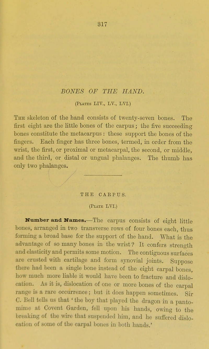 BONES OF THE HAND. (Plates LIV., LV., LVI.) The skeleton of the hand consists of twenty-seven bones. The first eight are the little bones of the carpus; the five succeeding bones constitute the metacarjDus : these support the bones of the fingers. Each finger has three bones, termed, in order from the wrist, the first, or proximal or metacarpal, the second, or middle, and the third, or distal or ungual phalanges. The thumb has only two phalanges. THE CAEPUS. (Plate LVI.) Number and Names.—The carpus consists of eight little bones, arranged in two transverse rows of four bones each, thus forming a broad base for the support of the hand. What is the advantage of so many bones in the wrist ? It confers strength and elasticity and permits some motion. The contiguous surfaces are crusted with cartilage and form synovial joints. Suppose there had been a single bone instead of the eight carpal bones, how much more liable it would have been to fracture and dislo- cation. As it is, dislocation of one or more bones of the carpal range is a rare occurrence; but it does happen sometimes. Sir C. Bell tells us that ' the boy that played the dragon in a panto- mime at Covent Garden, fell upon his hands, owing to the breaking of the wire that suspended him, and he sufl'ered dislo- cation of some of the carpal bones in both hands.'