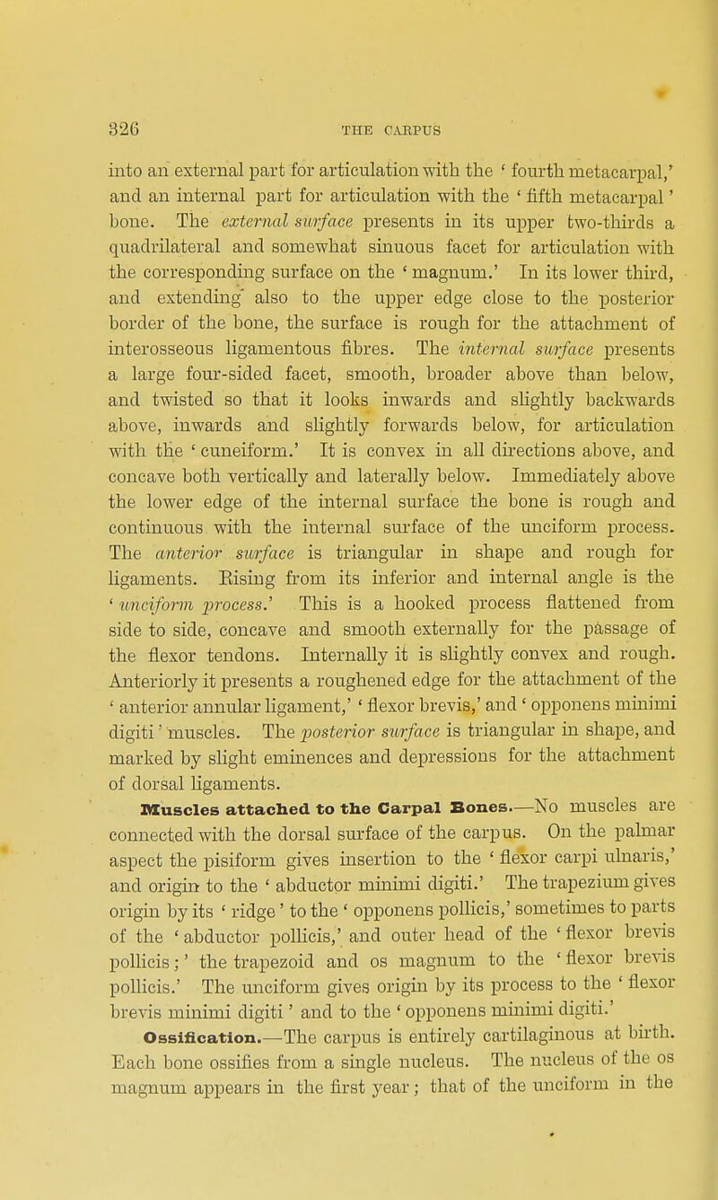 into an external part for articulation with the ' fourth metacarpal,' and an internal part for articulation with the ' fifth metacarpal' bone. The external surface presents in its upper two-thirds a quadrilateral and somewhat sinuous facet for articulation with the corresponding surface on the ' magnum.' In its lower third, and extending' also to the upper edge close to the XDOsterior border of the bone, the surface is rough for the attachment of interosseous ligamentous fibres. The internal surface presents a large fom'-sided facet, smooth, broader above than below, and twisted so that it looks inwards and slightly backwards above, inwards and slightly forwards below, for articulation with the ' cuneiform.' It is convex in aU directions above, and concave both vertically and laterally below. Immediately above the lower edge of the internal surface the bone is rough and continuous with the internal surface of the unciform process. The anterior surface is triangular in shape and rough for ligaments. Eising from its inferior and internal angle is the ' unciform process.' This is a hooked process flattened from side to side, concave and smooth externally for the passage of the flexor tendons. Internally it is slightly convex and rough. Anteriorly it presents a roughened edge for the attachment of the ' anterior annular Hgament,' ' flexor brevis,' and ' opponens minimi digiti' muscles. The posterior surface is triangular in shape, and marked by slight eminences and depressions for the attachment of dorsal ligaments. muscles attached to the Carpal Bones—No muscles are connected with the dorsal surface of the carpus. On the palmar aspect the pisiform gives insertion to the ' flexor carpi ulnaris,' and origm to the ' abductor minimi digiti.' The trapezium gives origin by its ' ridge' to the ' opponens poUicis,' sometimes to parts of the 'abductor pollicis,'and outer head of the 'flexor brevis poUicis;' the trapezoid and os magnum to the ' flexor brevis poUicis.' The unciform gives origin by its process to the ' flexor brevis minimi digiti' and to the ' opponens minimi digiti.' Ossification.—The carpus is entirely cartilaginous at birth. Each bone ossifies from a single nucleus. The nucleus of the os magnum appears in the first year; that of the unciform m the