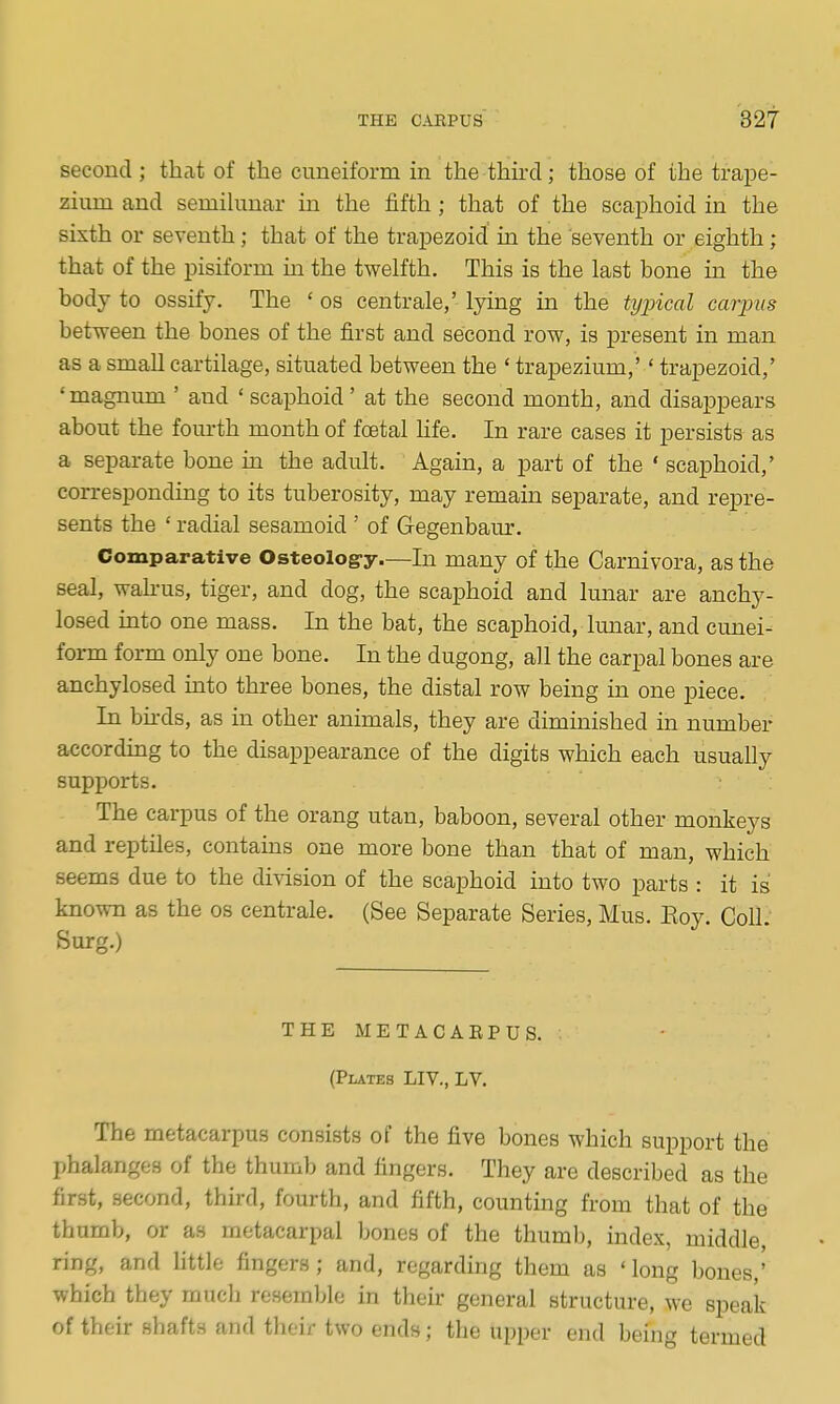 second; that of the cuneiform in the third; those of the trape- zium and semihinar in the fifth; that of the scaphoid in the sixth or seventh; that of the trapezoid in the seventh or eighth; that of the pisiform in the twelfth. This is the last bone in the body to ossify. The ' os centrale,' lying in the tyincal carjms between the bones of the first and second row, is present in man as a small cartilage, situated between the ' trapezium,'' trapezoid,' ' magnum ' and ' scaphoid' at the second month, and disappears about the fourth month of foetal Hfe. In rare cases it persists as a separate bone in the adult. Again, a part of the ' scaphoid,' corresponding to its tuberosity, may remain separate, and repre- sents the ' radial sesamoid ' of Gegenbaur. Comparative Osteolog-y.—In many of the Carnivora, as the seal, wah-us, tiger, and dog, the scaphoid and lunar are anchy- losed into one mass. In the bat, the scaphoid, kuiar, and cunei- form form only one bone. In the dugong, all the carpal bones are anchylosed into three bones, the distal row being in one piece. In birds, as in other animals, they are diminished in number according to the disappearance of the digits which each usually supports. The carpus of the orang utan, baboon, several other monkeys and reptiles, contains one more bone than that of man, which seems due to the division of the scaphoid into two parts : it is known as the os centrale. (See Separate Series, Mus. Eoy. Coll Surg.) THEMETACAEPUS. (Plates LIV., LV. The metacarpus consists of the five bones which support the phalanges of the thumb and fingers. They are described as the first, second, third, fourth, and fifth, counting from that of the thumb, or as metacarpal bones of the thumb, index, middle, ring, and little fingers; and, regarding them as 'long bones,' which they mucli resemble in their general structure, we speak of their shafts and their two ends; the upper end being termed