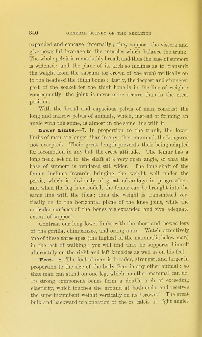 expanded and concave internally ; they support the viscera and give powerful leverage to the miTScles which balance the trunk. The whole pelvis is remarkably broad, and thus the base of support is widened; and the plane of its arch so inclines as to transmit the weight from the sacrum (or crown of the arch) vertically on to the heads of the thigh bones : lastly, the deepest and strongest part of the socket for the thigh bone is in the line of weight: consequently, the joint is never more secm'e than in the erect position. With the broad and capacious pelvis of man, contrast the long and narrow pelvis of animals, which, instead of forming an angle with the spine, is almost in the same line with it. Iiower liimbs.—7. In proportion to the trunk, the lower limbs of man are longer than in any other mammal, the kangaroo not excepted. Their great length prevents their being adapted for locomotion in any but the erect attitude. The femur has a long neck, set on to the shaft at a very open angle, so that the base of support is rendered stUl wider. The long shaft of the femur inclines inwards, bringing the weight well under the pelvis, which is obviously of great advantage in progression : and when the leg is extended, the femur can be brought into the same line with the tibia; thus the weight is transmitted ver- tically on to the horizontal plane of the knee joint, while the articular surfaces of the bones are expanded and give adequate extent of support. Contrast our long lower limbs with the short and bowed legs of the gorilla, chimpanzee, and orang utan. Watch attentively one of these three apes (the highest of the mammalia below man) in the act of walking; you will find that he supports himself alternately on the right and left knuckles as well as on his feet. Feet.—8. The foot of man is broader, stronger, and larger in proportion to the size of the body than in any other animal; so that man can stand on one leg, which no other mammal can do. Its strong component bones form a double arch of exceeding elasticity, which touches the ground at both ends, and receives the superincumbent weight vertically on its ' crown.' The great bulk and backward prolongation of the os calcis at right angles
