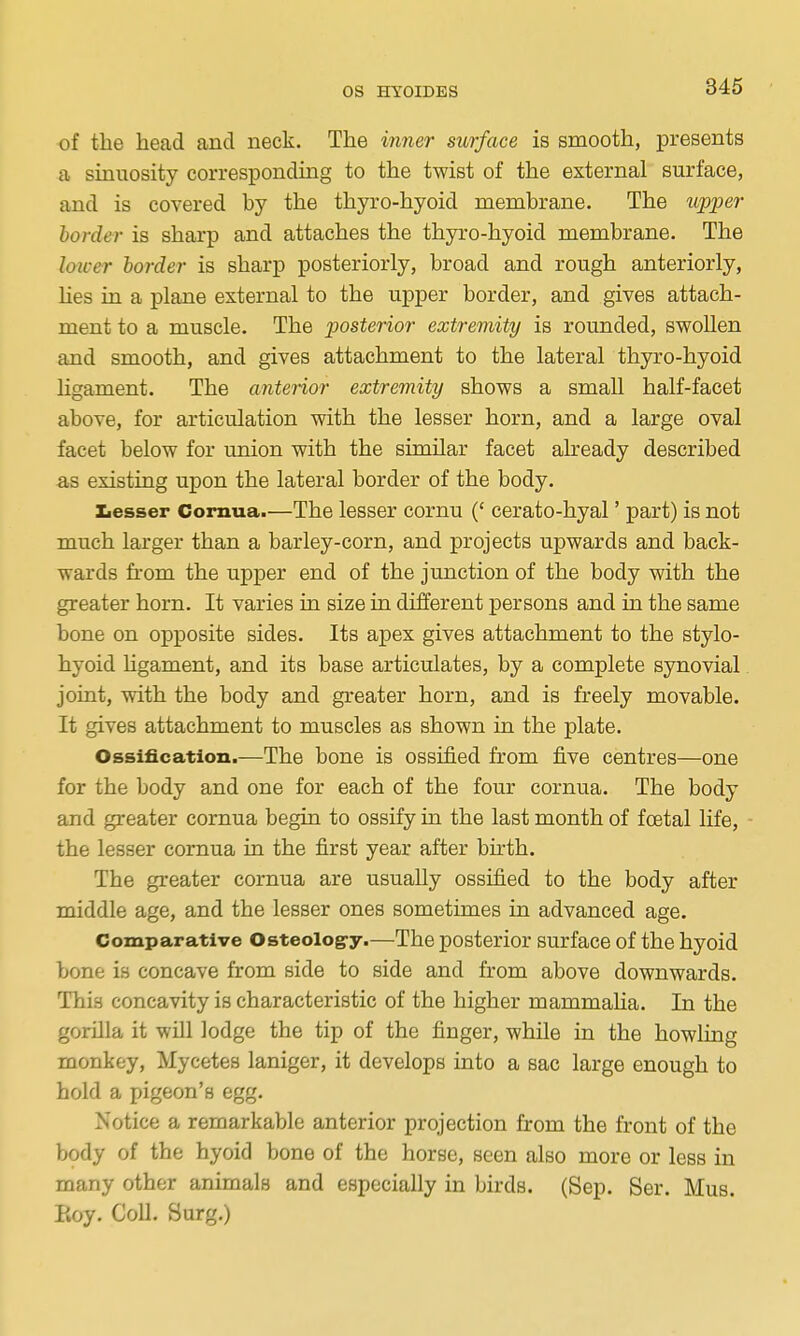 of the head and neck. The wmer surface is smooth, presents a smiiosity corresponding to the twist of the external surface, and is covered by the thyro-hyoid membrane. The upper border is sharp and attaches the thyro-hyoid membrane. The loiver border is sharp posteriorly, broad and rough anteriorly, lies in a plane external to the upper border, and gives attach- ment to a muscle. The posterior extremity is rounded, swollen and smooth, and gives attachment to the lateral thyro-hyoid Hgament. The anterior extremity shows a small half-facet above, for articulation with the lesser horn, and a large oval facet below for union with the similar facet already described as existing upon the lateral border of the body. liesser Cornua.—The lesser cornu (' cerato-hyal' part) is not much larger than a barley-corn, and projects upwards and back- wards from the upper end of the junction of the body with the greater horn. It varies in size in different persons and in the same bone on opposite sides. Its apex gives attachment to the stylo- hyoid hgament, and its base articulates, by a complete synovial joint, with the body and greater horn, and is freely movable. It gives attachment to muscles as shown in the plate. Ossification.—The bone is ossified from five centres—one for the body and one for each of the four cornua. The body and greater cornua begin to ossify in the last month of foetal life, - the lesser cornua in the first year after birth. The greater cornua are usually ossified to the body after middle age, and the lesser ones sometimes in advanced age. Comparative Osteolog-y.—The posterior surface of the hyoid bone is concave from side to side and from above downwards. This concavity is characteristic of the higher mammaha. In the gorilla it will lodge the tip of the finger, while in the howling monkey, Mycetes laniger, it develops into a sac large enough to hold a pigeon's egg. Notice a remarkable anterior projection from the front of the body of the hyoid bone of the horse, seen also more or less in many other animals and especially in birds. (Sep. Ser. Mus. Eoy. Coll. Surg.)