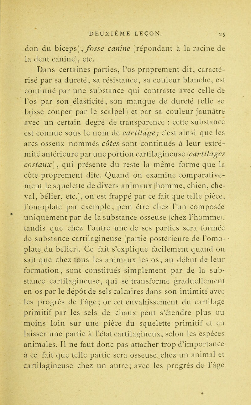 don du biceps) ^ fosse canine (répondant à la racine de la dent canine), etc. Dans certaines parties, Pos proprement dit, caracté- risé par sa dureté, sa résistance, sa couleur blanche, est continué par une substance qui contraste avec celle de Pos par son élasticité, son manque de dureté (elle se laisse couper par le scalpel) et par sa couleur jaunâtre avec un certain degré de transparence : cette substance est connue sous le nom de cartilage; c^est ainsi que les arcs osseux nommés côtes sont continués à leur extré- mité antérieure par une portion cartilagineuse [ca7~tilages costaux], qui présente du reste la même forme que la côte proprement dite. Quand on examine comparative- ment le squelette de divers animaux (homme, chien, che- val, bélier, etc.), on est frappé par ce fait que telle pièce, Pomoplate par exemple, peut être chez Pun composée uniquement par de la substance osseuse (chez Phomme), tandis que chez Pautre une de ses parties sera formée de substance cartilagineuse (partie postérieure de Pomo- plate du bélier). Ce fait s'explique facilement quand on sait que chez tous les animaux les os, au début de leur formation, sont constitués simplement par de la sub- stance cartilagineuse, qui se transforme graduellement en os par le dépôt de sels calcaires dans son intimité avec les progrès de Page ; or cet envahissement du cartilage primitif par les sels de chaux peut s'étendre plus ou moins loin sur une pièce du squelette primitif et en laisser une partie à Pétat cartilagineux, selon les espèces animales. Il ne faut donc pas attacher trop d'importance à ce fait que telle partie sera osseuse chez un animal et cartilagineuse chez un autre ; avec les progrès de l'âge