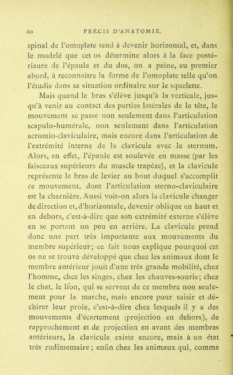 spinal de Tomoplate tend à devenir iiorizontal, et, dans le modelé que cet os détermine alors à la face posté- rieure de l'épaule et du dos, on a peine, au premier abord, à reconnaître la forme de Pomoplate telle qu'on l'étudié dans sa situation ordinaire sur le squelette. Mais quand le bras s'élève jusqu'à la verticale, jus- qu'à venir au contact des parties latérales de la tête, le mouvement se passe non seulement dans l'articulation scapulo-humérale^ non seulement dans l'articulation acromio-claviculaire, mais encore dans l'articulation de l'extrémité interne de la clavicule avec le sternum. Alors, en effet, l'épaule est soulevée en masse (par les faisceaux supérieurs du muscle trapèze), et la clavicule représente le bras de levier au bout duquel s'accomplit ce mouvement, dont l'articulation sterno-claviculaire est la charnière. Aussi voit-on alors la clavicule changer de direction et, d'horizontale, devenir oblique en haut et en dehors, c'est-à-dire que son extrémité externe s'élève en se portant un peu en arrière, La clavicule prend donc une part très importante aux mouvements du membre supérieur; ce fait nous explique pourquoi cet os ne se trouve développé que chez les animaux dont le membre antérieur jouit d'une très grande mobilité, chez rhomme, chez les singes, chez les chauves-souris; chez le chat, le lion, qui se servent de ce membre non seule- ment pour la marche, mais encore pour saisir et dé- chirer leur proie, c'est-à-dire chez lesquels il y a des mouvements d'écartement (projection en dehors), de rapprochement et de projection en avant des membres antérieurs, la clavicule existe encore, mais à un état très rudimentaire ; enfin chez les animaux qui, comme