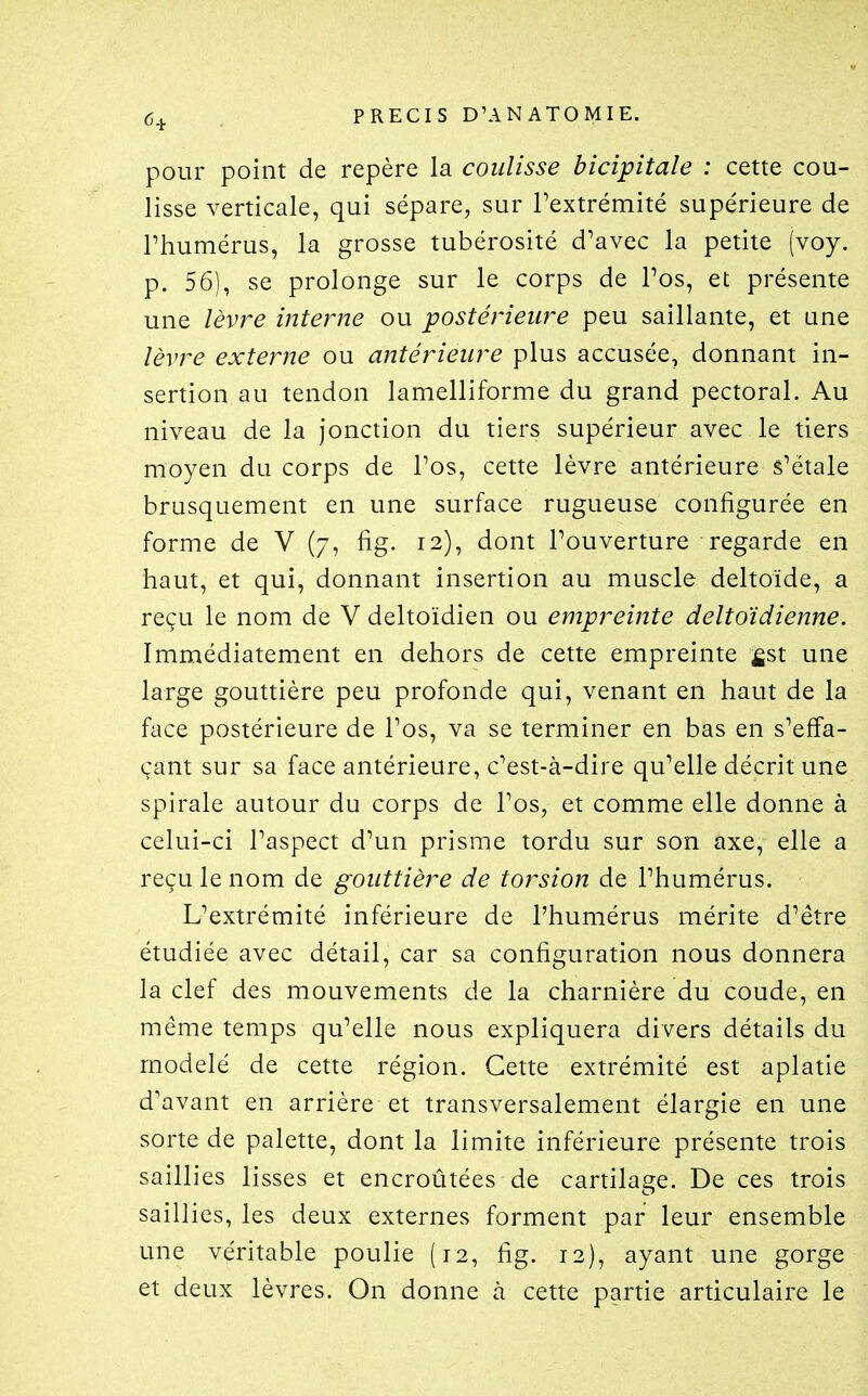 pour point de repère la coulisse bicipitale : cette cou- lisse verticale, qui sépare, sur Textrémité supérieure de rhumérus, la grosse tubérosité d'avec la petite (voy, p. 56), se prolonge sur le corps de Pos, et présente une lèvre interne ou postérieure peu saillante, et une lèvre externe ou antérieure plus accusée, donnant in- sertion au tendon lamelliforme du grand pectoral. Au niveau de la jonction du tiers supérieur avec le tiers moyen du corps de Pos, cette lèvre antérieure s'étale brusquement en une surface rugueuse configurée en forme de V (7, fig. 12), dont Pouverture regarde en haut, et qui, donnant insertion au muscle deltoïde, a reçu le nom de V deltoïdien ou empreinte deltoïdienne. Immédiatement en dehors de cette empreinte £st une large gouttière peu profonde qui, venant en haut de la face postérieure de Pos, va se terminer en bas en s'effa- çant sur sa face antérieure, c'est-à-dire qu'elle décrit une spirale autour du corps de l'os, et comme elle donne à celui-ci l'aspect d'un prisme tordu sur son axe, elle a reçu le nom de gouttière de torsion de l'humérus. L'extrémité inférieure de l'humérus mérite d'être étudiée avec détail, car sa configuration nous donnera la clef des mouvements de la charnière du coude, en même temps qu'elle nous expliquera divers détails du modelé de cette région. Cette extrémité est aplatie d'avant en arrière et transversalement élargie en une sorte de palette, dont la limite inférieure présente trois saillies lisses et encroûtées de cartilage. De ces trois saillies, les deux externes forment par leur ensemble une véritable poulie (12, fig. 12), ayant une gorge et deux lèvres. On donne à cette partie articulaire le