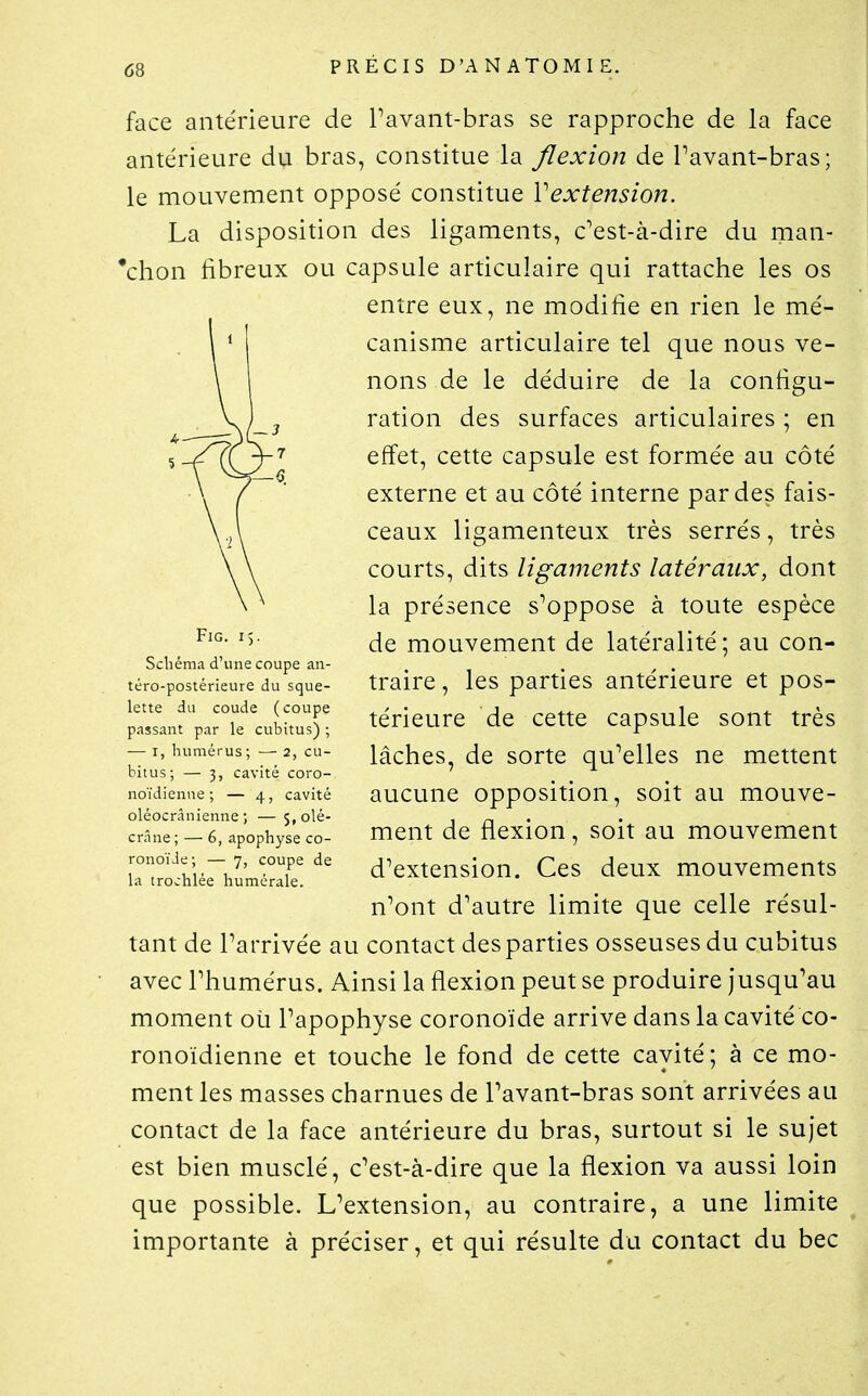 face antérieure de Pavant-bras se rapproche de la face antérieure du bras, constitue la flexion de Pavant-bras; le mouvement opposé constitue Vextension. La disposition des ligaments, c'est-à-dire du man- *chon fibreux ou capsule articulaire qui rattache les os entre eux, ne modifie en rien le mé- canisme articulaire tel que nous ve- nons de le déduire de la configu- ration des surfaces articulaires ; en effet, cette capsule est formée au côté externe et au côté interne par des fais- ceaux ligamenteux très serrés, très courts, dits ligaments latéraux, dont la présence s'oppose à toute espèce de mouvement de latéralité; au con- traire, les parties antérieure et pos- térieure de cette capsule sont très lâches, de sorte qu'elles ne mettent aucune opposition, soit au mouve- ment de flexion, soit au mouvement d'extension. Ces deux mouvements n'ont d'autre limite que celle résul- tant de l'arrivée au contact des parties osseuses du cubitus avec Phumérus. Ainsi la flexion peut se produire jusqu'au moment où l'apophyse coronoïde arrive dans la cavité co- ronoïdienne et touche le fond de cette cavité; à ce mo- ment les masses charnues de Pavant-bras sont arrivées au contact de la face antérieure du bras, surtout si le sujet est bien musclé, c'est-à-dire que la flexion va aussi loin que possible. L'extension, au contraire, a une limite importante à préciser, et qui résulte du contact du bec FlG. I). Schéma d'une coupe an- téro-postérieure du sque- lette du coude (coupe passant par le cubitus) ; — I, humérus; — 2, cu- bitus; — 3, cavité coro- noïdienne ; — 4, cavité oléocrânienne ; — S.olé- crâne; — 6, apophyse co- ronoïde; — 7, coupe de la trochlée humérale.