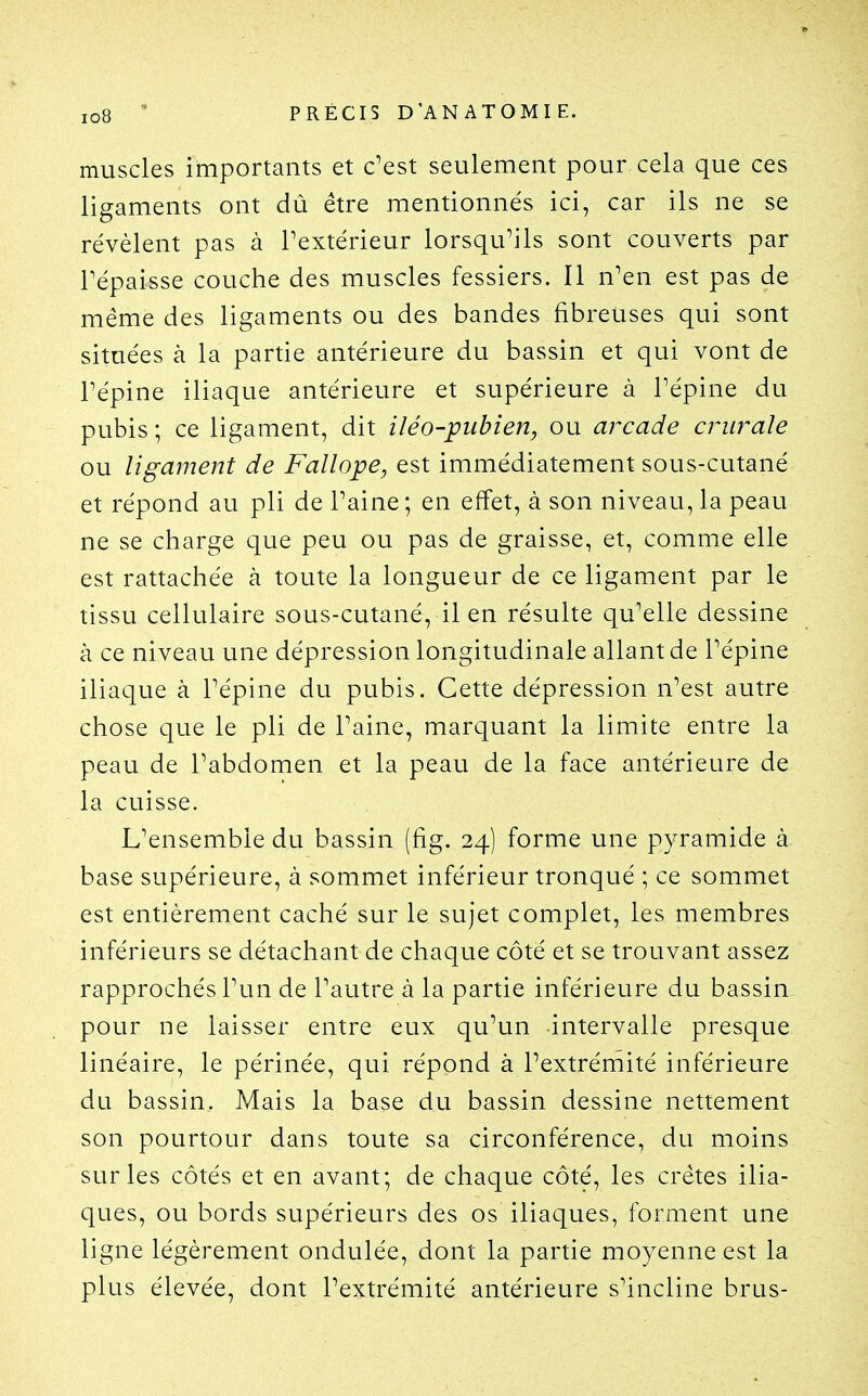 muscles importants et c'est seulement pour cela que ces ligaments ont dû être mentionnés ici, car ils ne se révèlent pas à Textérieur lorsqu'ils sont couverts par répaisse couche des muscles fessiers. Il n'en est pas de même des ligaments ou des bandes fibreuses qui sont situées à la partie antérieure du bassin et qui vont de répine iliaque antérieure et supérieure à Tépine du pubis ; ce ligament, dit iléo-pubien, ou arcade crurale ou ligament de Fallope, est immédiatement sous-cutané et répond au pli de l'aine ; en effet, à son niveau, la peau ne se charge que peu ou pas de graisse, et, comme elle est rattachée à toute la longueur de ce ligament par le tissu cellulaire sous-cutané, il en résulte qu'elle dessine à ce niveau une dépression longitudinale allant de l'épine iliaque à l'épine du pubis. Cette dépression n'est autre chose que le pli de l'aine, marquant la limite entre la peau de l'abdomen et la peau de la face antérieure de la cuisse. L'ensemble du bassin (fig. 24) forme une pyramide à base supérieure, à sommet inférieur tronqué ; ce sommet est entièrement caché sur le sujet complet, les membres inférieurs se détachant de chaque côté et se trouvant assez rapprochés l'un de l'autre à la partie inférieure du bassin pour ne laisser entre eux qu'un intervalle presque linéaire, le périnée, qui répond à l'extrémité inférieure du bassin. Mais la base du bassin dessine nettement son pourtour dans toute sa circonférence, du moins sur les côtés et en avant; de chaque côté, les crêtes ilia- ques, ou bords supérieurs des os iliaques, forment une ligne légèrement ondulée, dont la partie moyenne est la plus élevée, dont l'extrémité antérieure s'incline brus-