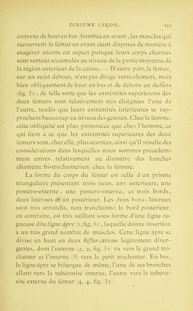 DIXIF.MF. LEÇON. lîj convexe de haut en bas bombée en avant . les muscles qui recouvrent le temur en avant étant disposés de manière à exage'rer encore cet aspect puisque leurs corps charnus sont surtout accumules au niveau de la partie movenne de la réi^ion antérieur de la cuisse. — D'autre part, le temur, sur un sujet debout, n'est pas dirigé verticalement, mais bien obliquement de haut en bas et de dehors en dedans ^tig. 3 I .de telle sorte que les extrémités supérieures des deux fémurs sont relativement très éloignées Tune de Tautre. tandis que leurs extrémités inférieures se rap- prochent beaucoup au niveau des genoux. Chez la temme, cette obliquité est plus prononcée que chei l'homme, ce qui tient à ce que les extrémités supérieures des deux témurs sont.chez elle, plus écartées, ainsi qu'il résulte des considérations dans lesquelles nous sommes précédem- ment entrés relativement au diamètre des hanches ^diamètre bi-irochantérienl chez la temme. La forme du corps du fémur est celle d un prisme triangulaire présentant trois taces, unf*. antérieure, une postéro-externe . une postero-inierne, et trois bords, deux latéraux et un postérieur. Les deux bora ^ latéraux sont très arrondis, non tranchants: le bord postérieur, au contraire, est très saillant sous forme d'une ligne ru- gueuse dite ligne dpre [ i, tig. 31 , laquelle donne insertion à un très grand nombre de muscles. Cette Jigne âpre se divise en haut en deux bifurcations légèrement diver- gentes, dont l'externe 2, 2, fig. 3r va vers le grand iro- chanter et l'interne 3) vers le petit trochanter. En bas, la ligne âpre se bifurque de même, l'une de ses branches allant vers la tuberosiie interne, l'autre vers la tubero- site externe du fémur 4, 4. fig. 3i .