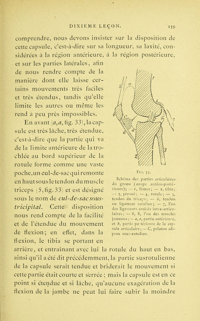 comprendre, nous devons insister sur la disposition de cette capsule, c'est-à-dire sur sa longueur, sa laxité, con- sidérées à la région antérieure, à la région postérieure, et sur les parties latérales, atin de nous rendre compte de la manière dont elle laisse cer- tains mouvements très faciles et très étendus, tandis qu'elle limite les autres ou même les rend à peu près impossibles. En avant [a,a, fig. 33), la cap- sule est très lâche, très étendue, c'est-à-dire que la partie qui va de la limite antérieure de latro- chlée au bord supérieur de la rotule forme comme une vaste p o c h e, u n c u 1 - d e - s a c q u i r e m o n t e en haut sous le tencion du niuscle triceps (5,fig. 33) et est désigné sous le nom de cul-de-sac sous- tricipital. Cette disposition nous rend compte de la facilité et de rétendue du mouvement de flexion; en effet, dans la flexion, le tibia se portant en arrière, et entraînant avec lui la rotule du haut en bas, ainsi qu'il a été dit précédemment, la partie susrotulienne de la capsule serait tendue et briderait le mouvement si cette partie était courte et serrée ; mais la capsule est en ce point si étendue et si lâche, qu'aucune exagération de la flexion de la jambe ne peut lui faire subir la moindre Fi.. 33. Schéma des parties articulaires du genou (coupe aniéro-posté- rieure); —i, fémur; — 2, tibia; — 3, péroné; —4, rotule; — 5, tendon du triceps ; — 6, tendon ou ligament lotulien,; — 7, l'un des ligaments croisés intra-articu- laires; —8, 8, l'un des muscles jumeaux ; — a, a, partie antérieui e, et h, partie po térieure de la cap- sule articulaire;— C, peloton adi- peux sous-rotulien.