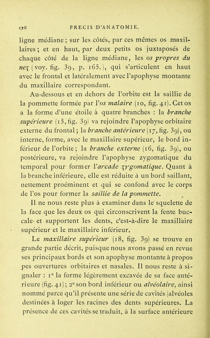 ligne médiane ; sur les côtés, par ces mêmes os maxil- laires ; et en haut, par deux petits os juxtaposés de chaque côté de la ligne médiane, les os ^propres du we^(voy. fig. 39, p. i65.j, qui s'articulent en haut avec le frontal et latéralement avec Papophyse montante du maxillaire correspondant. Au-dessous et en dehors de Porbite est la saillie de la pommette formée par Vos malaire (10, fig. 41). Cet os a la forme d'une étoile à quatre branches : la branche supérieure (i5,fig. 39] va rejoindre Fapophyse orbitaire externe du frontal ; la branche antérieure (ly, fig. 39), ou interne, forme, avec le maxillaire supérieur, le bord in- férieur de Porbite; la branche externe (16, fig. 39), ou postérieure, va rejoindre Papophyse zygomatique du temporal pour former Y arcade ^ygomatique. Quant à la branche inférieure, elle est réduite à un bord saillant, nettement proéminent et qui se confond avec le corps de Pos pour former la saillie de la pommette. 11 ne nous reste plus à examiner dans le squelette de la face que les deux os qui circonscrivent la fente buc- cale- et supportent les dents, c'est-à-dire le maxillaire supérieur et le maxillaire inférieur. Le maxillaire supérieur (18, fig. 39) se trouve en grande partie décrit, puisque nous avons passé en revue ses principaux bords et son apophyse montante à propos pes ouvertures orbitaires et nasales. Il nous reste à si- gnaler : I'' la forme légèrement excavée de sa face anté- rieure (fig. 41) ; 2° son bord inférieur ou alvéolaire, ainsi nommé parce qu'il présente une série de cavités (alvéoles destinées à loger les racines des dents supérieures. La présence de ces cavités se traduit, à la surface antérieure