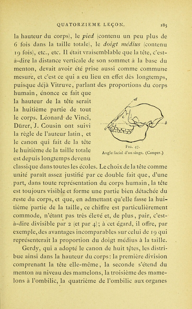 la hauteur du corps), le pied (contenu un peu plus de 6 fois dans la taille totale), le doigt médius (contenu 19 fois), etc., etc. Il était vraisemblable que la tête, c'est- à-dire la distance verticale de son sommet à la base du menton, devait avoir été prise aussi comme commune mesure, et c^est ce qui a eu lieu en effet dès longtemps, puisque déjà Vitruve, parlant des proportions du corps humain, énonce ce fait que la hauteur de la tête serait la huitième partie de tout le corps. Léonard de Vinci, Durer, J. Cousin ont suivi la règle de Fauteur latin, et le canon qui fait de la tête le huitième de la taille totale (Camper.) est depuis longtemps devenu classique dans toutes les écoles. Le choix de la tête comme unité paraît assez justifié par ce double fait que, d'une .part, dans toute représentation du corps humain, la tête est toujours visible et forme une partie bien détachée du •reste du corps, et que, en admettant qu'elle fasse la hui- tième partie de la taille, ce chiffre est particulièrement commode, n^étant pas très élevé et, de plus, pair, c'est- à-dire divisible par 2 (et par 4) ; à cet égard, il offre, par exemple, des avantages incomparables sur celui de 19 qui représenterait la proportion du doigt médius à la taille. Gerdy, qui a adopté le canon de huit têtes, les distri- bue ainsi dans la hauteur du corps: la première division comprenant la tête elle-même, la seconde s'étend du menton au niveau des mamelons, la troisième des mame- lons à l'ombilic, la quatrième de l'ombilic aux organes