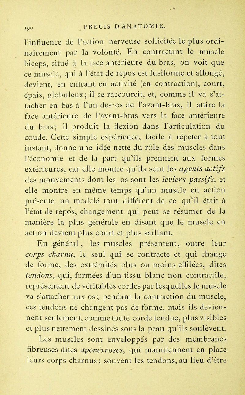 rinfluence de Paction nerveuse sollicitée le plus ordi- nairement par la volonté. En contractant le muscle biceps, situé à la face antérieure du bras, on voit que ce muscle, qui à Tétat de repos est fusiforme et allongé, devient, en entrant en activité (en contraction), court, épais, globuleux; il se raccourcit, et, comme il va s'at- tacher en bas à Tun des'os de Tavant-bras, il attire la face antérieure de Pavant-bras vers la face antérieure du bras; il produit la flexion dans Tarticulation du coude. Cette simple expérience, facile à répéter à tout instant, donne une idée nette du rôle des muscles dans l'économie et de la part qu'ils prennent aux formes extérieures, car elle montre qu'ils sont les agents actifs des mouvements dont les os sont les leviers passifs, et elle montre en même temps qu'un muscle en action présente un modelé tout différent de ce qu'il était à l'état de repos, changement qui peut se résumer de la manière la plus générale en disant que le muscle en action devient plus court et plus saillant. En général, les muscles présentent, outre leur corps charnu, le seul qui se contracte et qui change de forme, des extrémités plus ou moins eflilées, dites tendons, qui, formées d'un tissu blanc non contractile, représentent de véritables cordes par lesquelles le muscle va s'attacher aux os; pendant la contraction du muscle, ces tendons ne changent pas de forme, mais ils devien- nent seulement, comme toute corde tendue, plus visibles et plus nettement dessinés sous la peau qu'ils soulèvent. Les muscles sont enveloppés par des membranes fibreuses dites aponévroses, qui maintiennent en place leurs corps charnus ; souvent les tendons, au lieu d'être