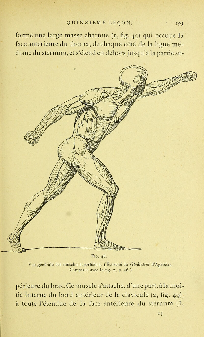 forme une large masse charnue (i, fig. 49) qui occupe la face antérieure du thorax, de chaque côté de la ligne mé- diane du sternum, et sMtend en dehors jusqu^à la partie su- Vue générale des muscles superficiels. (Écorché du Gladiateur d'Agassiaz. Comparez avec la fig. 2, p. 26.) périeure du bras. Ce muscle s^attache, d'une part, à la moi- tié interne du bord antérieur de la clavicule (2, fig. 49), à toute rétendue de la face antérieure du sternum (3,