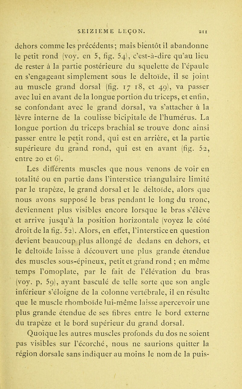 dehors comme les précédents; mais bientôt il abandonne le petit rond (voy. en 5, fig. 54), c^est-à-dire qu'au lieu de rester à la partie postérieure du squelette de Tépaule en s^engageant simplement sous le deltoïde, il se joint au muscle grand dorsal (fig. 17 18, et 49), va passer avec lui en avant de la longue portion du triceps, et enfin, se confondant avec le grand dorsal, va s'attacher à la lèvre interne de la coulisse bicipitale de l'humérus. La longue portion du triceps brachial se trouve donc ainsi passer entre le petit rond, qui est en arrière, et la partie supérieure du grand rond, qui est en avant (fig. 52, entre 20 et 6). Les différents muscles que nous venons de voir en totalité ou en partie dans l'interstice triangulaire limité par le trapèze, le grand dorsal et le deltoïde, alors que nous avons supposé le bras pendant le long du tronc, deviennent plus visibles encore lorsque le bras s'élève et arrive jusqu'à la position horizontale (voyez le côté droit de la fig. 52). Alors, en effet, l'interstice en question devient beaucoup plus allongé de dedans en dehors, et le deltoïde laisse à découvert une plus grande étendue des muscles sous-épineux, petit et grand rond ; en même temps l'omoplate, par le fait de l'élévation du bras (voy. p. 59), ayant basculé de telle sorte que son angle inférieur s'éloigne de la colonne vertébrale, il en résulte que le muscle rhomboïde lui-même laisse apercevoir mie plus grande étendue de ses fibres entre le bord externe du trapèze et le bord supérieur du grand dorsal. Quoique les autres muscles profonds du dos ne soient pas visibles sur l'écorché, nous ne saurions quitter la région dorsale sans indiquer au moins le nom de la puis-