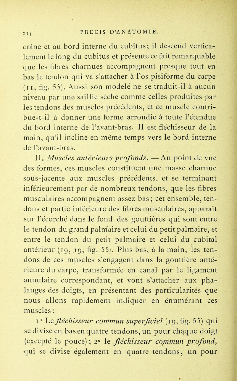 crâne et au bord interne du cubitus; il descend vertica- lement le long du cubitus, et présente ce fait remarquable que les fibres charnues accompagnent presque tout en bas le tendon qui va s^attacher à Pos pisiforme du carpe (n, fig. 55). Aussi son modelé ne se traduit-il à aucun niveau par une saillie sèche comme celles produites par les tendons des muscles précédents, et ce muscle contri- bue-t-il à donner une forme arrondie à toute Pétendue du bord interne de Pavant-bras. Il est fléchisseur de la main, qu'il incline en même temps vers le bord interne de Pavant-bras. II. Muscles antérieiu^sprofonds. —Au point de vue des formes, ces muscles constituent une masse charnue sous-jacente aux muscles précédents, et se terminant inférieurement par de nombreux tendons, que les fibres musculaires accompagnent assez bas ; cet ensemble, ten- dons et partie inférieure des fibres musculaires, apparaît sur Pécorché dans le fond des gouttières qui sont entre le tendon du grand palmaire et celui du petit palmaire, et entre le tendon du petit palmaire et celui du cubital antérieur (19, 19, fig. 55). Plus bas, à la main, les ten- dons de ces muscles s'engagent dans la gouttière anté- rieure du carpe, transformée en canal par le ligament annulaire correspondant, et vont s'attacher aux pha- langes des doigts, en présentant des particularités que notis allons rapidement indiquer en énumérant ces muscles : i« Le fléchisseur commun superficiel (19, fig. 55) qui se divise en bas en quatre tendons, un pour chaque doigt (excepté le pouce) ; 2° le fléchisseur commun profond, qui se divise également en quatre tendons, un pour