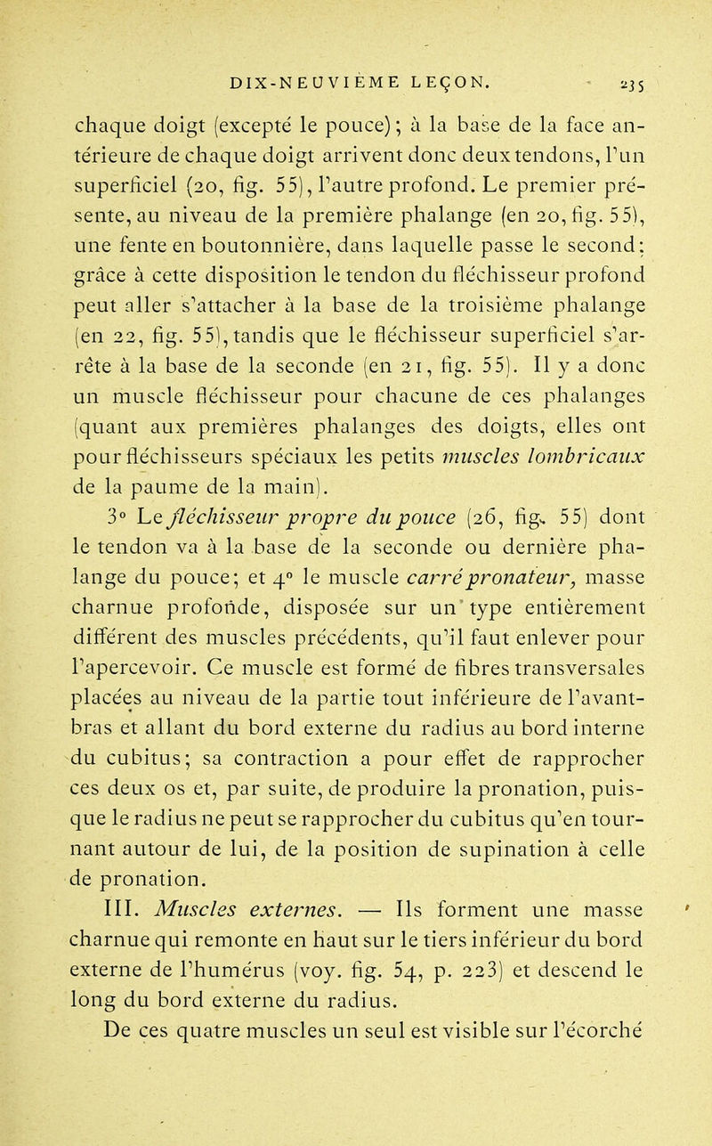 chaque doigt (excepté le pouce) ; à la base de la face an- térieure de chaque doigt arrivent donc deux tendons, Tun superficiel (20, fig. 55), l'autre profond. Le premier pré- sente, au niveau de la première phalange (en 20, fig. 5 5), une fente en boutonnière, dans laquelle passe le second; grâce à cette disposition le tendon du fléchisseur profond peut aller s'attacher à la base de la troisième phalange (en 22, fig. 551,tandis que le fléchisseur superficiel s'ar- rête à la base de la seconde (en 21, fig. 55). Il y a donc un muscle fléchisseur pour chacune de ces phalanges (quant aux premières phalanges des doigts, elles ont pour fléchisseurs spéciaux les petits muscles lombricaux de la paume de la main). 3° Le fléchisseur propre du pouce (26, fig^ 55) dont le tendon va à la base de la seconde ou dernière pha- lange du pouce; et 4 le muscle carrépronateur, masse charnue profonde, disposée sur un type entièrement différent des muscles précédents, qu'il faut enlever pour l'apercevoir. Ce muscle est formé de fibres transversales placées au niveau de la partie tout inférieure de l'avant- bras et allant du bord externe du radius au bord interne du cubitus; sa contraction a pour effet de rapprocher ces deux os et, par suite, de produire la pronation, puis- que le radius ne peut se rapprocher du cubitus qu'en tour- nant autour de lui, de la position de supination à celle de pronation. III. Muscles externes. —■ Ils forment une masse charnue qui remonte en haut sur le tiers inférieur du bord externe de l'humérus (voy. fig. 54, p. 223) et descend le long du bord externe du radius. De ces quatre muscles un seul est visible sur l'écorché