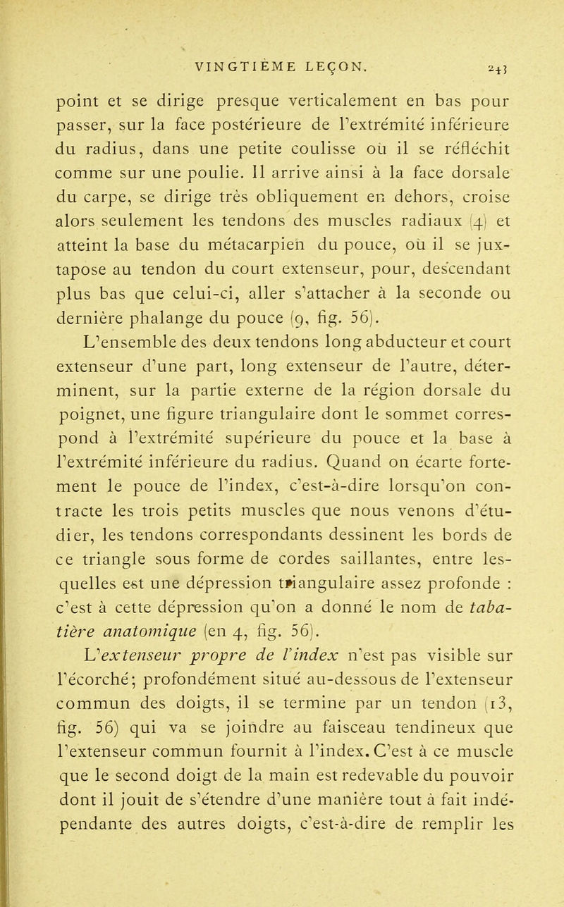 point et se dirige presque verticalement en bas pour passer, sur la face postérieure de Pextrémité infe'rieure du radius, dans une petite coulisse ou il se réfléchit comme sur une poulie. 11 arrive ainsi à la face dorsale du carpe, se dirige très obliquement en dehors, croise alors seulement les tendons des muscles radiaux 4 et atteint la base du métacarpien du pouce, oti il se jux- tapose au tendon du court extenseur, pour, descendant plus bas que celui-ci, aller s^attacher à la seconde ou dernière phalange du pouce (9, fig. 56). L^ensemble des deux tendons long abducteur et court extenseur d^une part, long extenseur de Fautre, déter- minent, sur la partie externe de la région dorsale du poignet, une figure triangulaire dont le sommet corres- pond à Pextrémité supérieure du pouce et la base à Pextrémité inférieure du radius. Quand on écarte forte- ment le pouce de Pindex, c^est-à-dire lorsqu'on con- tracte les trois petits muscles que nous venons d'étu- dier, les tendons correspondants dessinent les bords de ce triangle sous forme de cordes saillantes, entre les- quelles est une dépression twangulaire assez profonde : c'est à cette dépression qu'on a donné le nom de taba- tière anatomique (en 4, fig. 56). Uextenseur propre de l'index n'est pas visible sur Pécorché; profondément situé au-dessous de Pextenseur commun des doigts, il se termine par un tendon iS, fig. 56) qui va se joindre au faisceau tendineux que Pextenseur commun fournit à Pindex. C'est à ce muscle que le second doigt de la main est redevable du pouvoir dont il jouit de s'étendre d'une manière tout à fait indé- pendante des autres doigts, c'est-à-dire de remplir les