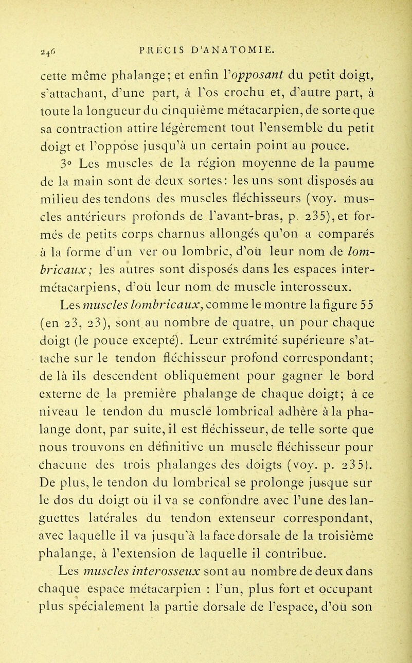 cette même phalange; et enfin Vopposant du petit doigt, s'attachant, d^une part, à Tos crochu et, d'autre part, à toute la longueur du cinquième métacarpien, de sorte que sa contraction attire légèrement tout l'ensemble du petit doigt et Poppôse jusqu'à un certain point au pouce. Les muscles de la région moyenne de la paume de la main sont de deux sortes: les uns sont disposés au milieu des tendons des muscles fléchisseurs (voy. mus- cles antérieurs profonds de Tavant-bras, p. 235), et for- més de petits corps charnus allongés qu'on a comparés à la forme d'un ver ou lombric, d'où leur nom de lom- bricaux; les autres sont disposés dans les espaces inter- métacarpiens, d'où leur nom de muscle interosseux. Les muscles lombricaiix, comme le montre la figure 5 5 (en 23, 23), sont au nombre de quatre, un pour chaque doigt (le pouce excepté). Leur extrémité supérieure s'at- tache sur le tendon fléchisseur profond correspondant; de là ils descendent obliquement pour gagner le bord externe de la première phalange de chaque doigt; à ce niveau le tendon du muscle lombrical adhère à la pha- lange dont, par suite, il est fléchisseur, de telle sorte que nous trouvons en définitive un muscle fléchisseur pour chacune des trois phalanges des doigts (voy. p. 23 5). De plus, le tendon du lombrical se prolonge jusque sur le dos du doigt où il va se confondre avec l'une des lan- guettes latérales du tendon extenseur correspondant, avec laquelle il va jusqu'à la face dorsale de la troisième phalange, à l'extension de laquelle il contribue. Les muscles interosseux sont au nombre de deux dans chaque espace métacarpien : l'un, plus fort et occupant plus spécialement la partie dorsale de l'espace, d'où son