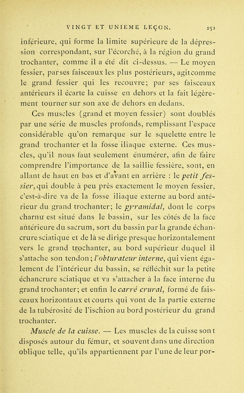 inférieure, qui forme la limite supérieure de la dépres- sion correspondant, sur Pécorché, à la région du grand trochanter, comme il a été dit ci-dessus. — Le moyen fessier, parses faisceaux les plus postérieurs, agitcomme le grand fessier qui les recouvre; par ses faisceaux antérieurs il écarte la cuisse en dehors et la fait légère- ment tourner sur son axe de dehors en dedans. Ces muscles (grand et moyen fessier) sont doublés par une série de muscles profonds, remplissant Pespace considérable qu^on remarque sur le squelette entre le grand trochanter et la fosse iliaque externe. Ces mus- cles, qu'il nous faut seulement énumérer, afin de faire comprendre l'importance de la saillie fessière, sont, en allant de haut en bas et d'avant en arrière : le petit fes- sier, qui double à peu près exactement le moyen fessier, c'est-à-dire va de la fosse iliaque externe au bord anté- rieur du grand trochanter; le pyramidal, dont le corps charnu est situé dans le bassin, sur les côtés de la face antérieure du sacrum, sort du bassin par la grande échan- crure sciatique et de là se dirige presque horizontalement vers le grand trochanter, au bord supérieur duquel il s'attache son tendon; V obturateur interne, qui vient éga- lement de l'intérieur du bassin, se réfléchit sur la petite échancrure sciatique et va s'attacher à la face interne du grand trochanter; et enfin le carré crural, formé de fais- ceaux horizontaux et courts qui vont de la partie externe de la tubérosité de l'ischion au bord postérieur du grand trochanter. Muscle de la cuisse. — Les muscles de la cuisse sont disposés autour du fémur, et souvent dans une direction oblique telle, qu'ils appartiennent par l'une de leur por-