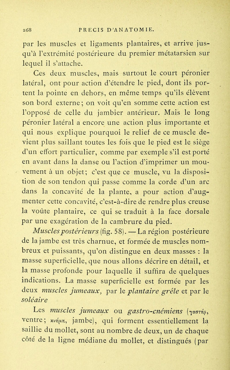 par les muscles et ligaments plantaires, et arrive jus- qu^à Textrémité postérieure du premier métatarsien sur lequel il s'attache. Ces deux muscles, mais surtout le court péronier latéral, ont pour action d'étendre le pied, dont ils por- tent la pointe en dehors, en même temps qu'ils élèvent son bord externe; on voit qu'en somme cette action est l'opposé de celle du jambier antérieur. Mais le long péronier latéral a encore une action plus importante et qui nous explique pourquoi le relief de ce muscle de- vient plus saillant toutes les fois que le pied est le siège d'un effort particulier, comme par exemple s'il est porté en avant dans la danse ou l'action d'imprimer un mou- vement à un objet; c'est que ce muscle, vu la disposi- tion de son tendon qui passe comme la corde d'un arc dans la concavité de la plante, a pour action d'aug- menter cette concavité, c'est-à-dire de rendre plus creuse la voûte plantaire, ce qui se traduit à la face dorsale par une exagération de la cambrure du pied. Muscles postérieurs (fig. 58). — La région postérieure de la jambe est très charnue, et formée de muscles nom- breux et puissants, qu'on distingue en deux masses : la masse superficielle, que nous allons décrire en détail, et la masse profonde pour laquelle il suffira de quelques indications. La masse superficielle est formée par les deux muscles jumeaux, par le plantaire grêle et par le soléaire Les jnuscles jumeaux ou gastro-cnémiens (-yadTYio, ventre; xvr^ar;, jambe), qui forment essentiellement la saillie du mollet, sont au nombre de deux, un de chaque côté de la ligne médiane du mollet, et distingués (par