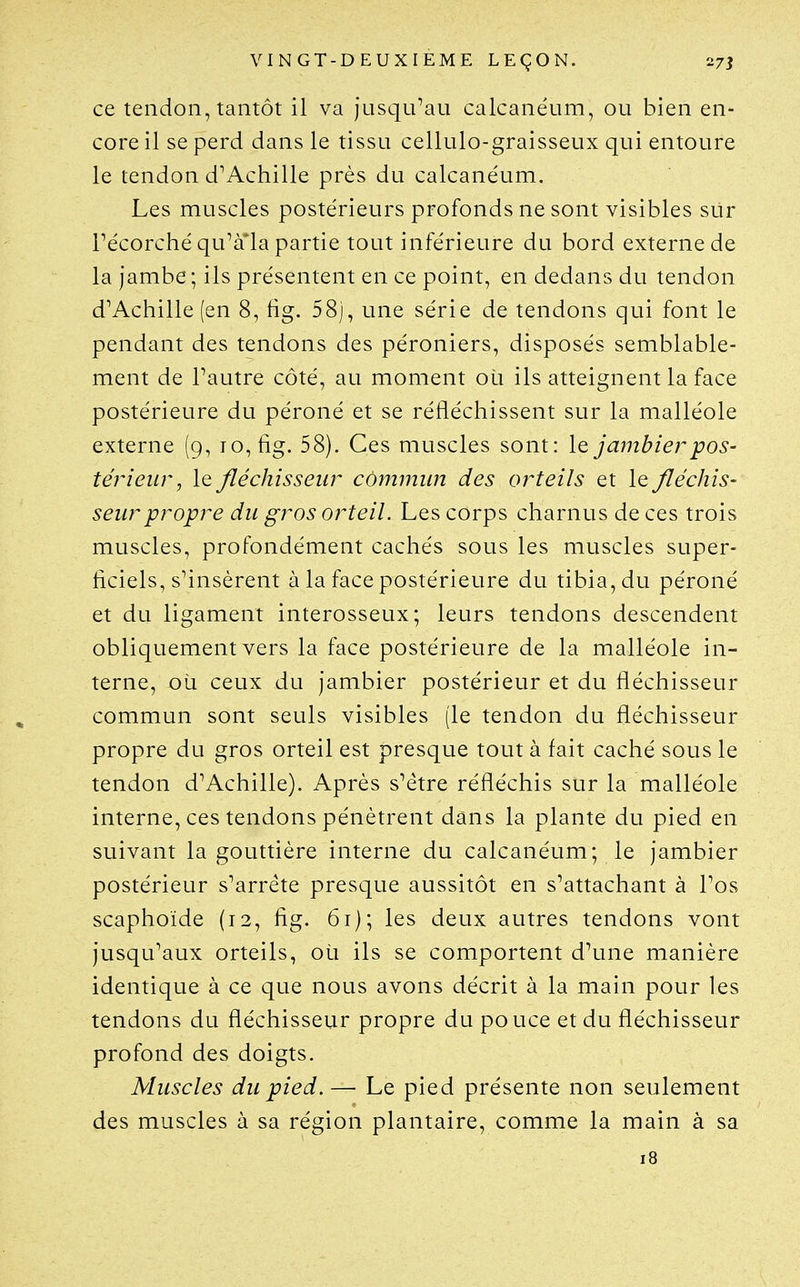 ce tendon, tantôt il va jusqu^au calcanéum, ou bien en- core il se perd dans le tissu cellulo-graisseux qui entoure le tendon d^Achille près du calcanéum. Les muscles postérieurs profonds ne sont visibles sur récorché qu'àla partie tout inférieure du bord externe de la jambe; ils présentent en ce point, en dedans du tendon d'Achille (en 8, tig. 58), une série de tendons qui font le pendant des tendons des péroniers, disposés semblable- ment de l'autre côté, au moment où ils atteignent la face postérieure du péroné et se réfléchissent sur la malléole externe (9, io,fig. 58). Ces muscles sont: \q, jambierpos- téiHeur, le fléchisseur commun des orteils et le fléchis- seur propre du gros orteil. Les corps charnus de ces trois muscles, profondément cachés sous les muscles super- ficiels, s'insèrent à la face postérieure du tibia, du péroné et du ligament interosseux; leurs tendons descendent obliquement vers la face postérieure de la malléole in- terne, où ceux du jambier postérieur et du fléchisseur commun sont seuls visibles (le tendon du fléchisseur propre du gros orteil est presque tout à fait caché sous le tendon d'Achille). Après s'être réfléchis sur la malléole interne, ces tendons pénètrent dans la plante du pied en suivant la gouttière interne du calcanéum; le jambier postérieur s'arrête presque aussitôt en s'attachant à l'os scaphoïde (12, fig. 61); les deux autres tendons vont jusqu'aux orteils, où ils se comportent d'une manière identique à ce que nous avons décrit à la main pour les tendons du fléchisseur propre du pouce et du fléchisseur profond des doigts. Muscles du pied. — Le pied présente non seulement des muscles à sa région plantaire, comme la main à sa 18
