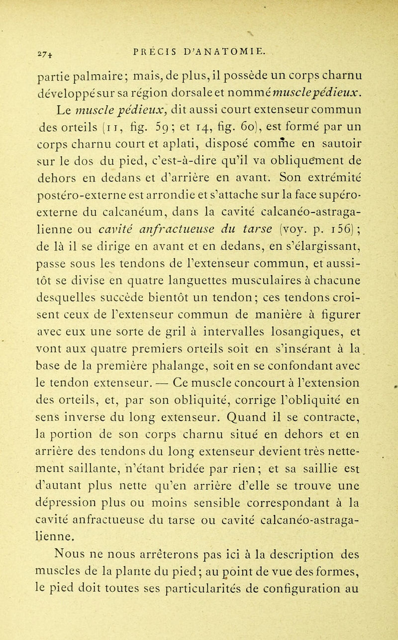 partie palmaire; mais, de plus,il possède un corps charnu développé sur sa région dorsale et nommémtisclepédieux. Le muscle pédieux, dit aussi court extenseur commun des orteils (i i, fig. 59 ; et 14, fig. 60), est formé par un corps charnu court et aplati, disposé comme en sautoir sur le dos du pied, c^est-à-dire qu^il va oblique^ment de dehors en dedans et d'arrière en avant. Son extrémité postéro-externe est arrondie et s'attache sur la face supéro- externe du calcanéum, dans la cavité calcanéo-astraga- lienne ou cavité anfractueiise du tarse (voy. p. i56); de là il se dirige en avant et en dedans, en s'élargissant, passe sous les tendons de Textenseur commun, et aussi- tôt se divise en quatre languettes musculaires à chacune desquelles succède bientôt un tendon; ces tendons croi- sent ceux de Fextenseur commun de manière à figurer avec eux une sorte de gril à intervalles losangiques, et vont aux quatre premiers orteils soit en s'insérant à la base de la première phalange, soit en se confondant avec le tendon extenseur. — Ce muscle concourt à Fextension des orteils, et, par son obliquité, corrige Tobliquité en sens inverse du long extenseur. Quand il se contracte, la portion de son corps charnu situé en dehors et en arrière des tendons du long extenseur devient très nette- ment saillante, n'étant bridée par rien ; et sa saillie est d'autant plus nette qu'en arrière d'elle se trouve une dépression plus ou moins sensible correspondant à la cavité anfractueuse du tarse ou cavité calcanéo-astraga- lienne. Nous ne nous arrêterons pas ici à la description des muscles de la plante du pied ; au point de vue des formes, le pied doit toutes ses particularités de configuration au