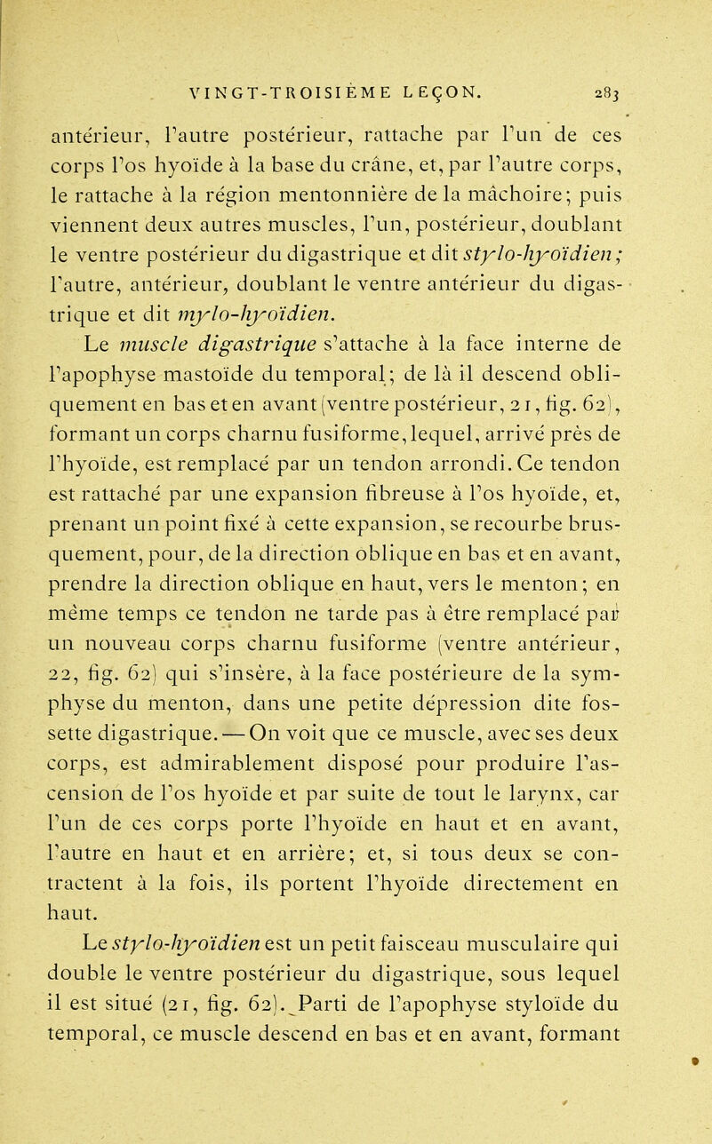 antérieur, Pautre postérieur, rattaclie par Tuii de ces corps Pos hyoïde à la base du crâne, et, par Pautre corps, le rattache à la région mentonnière de la mâchoire; puis viennent deux autres muscles, Pun, postérieur, doublant le ventre postérieur du digastrique qX Ah stylo-lryoïdien ; Pautre, antérieur, doublant le ventre antérieur du digas- trique et dit mjrlo-liyoïdien. Le muscle digastrique s^attache à la face interne de Papophyse mastoïde du temporal ; de là il descend obli- quement en bas et en avant (ventre postérieur, 21, hg. 62), formant un corps charnu fusiforme,lequel, arrivé près de Phyoide, est remplacé par un tendon arrondi. Ce tendon est rattaché par une expansion fibreuse à Pos hyoïde, et, prenant un point fixé à cette expansion, se recourbe brus- quement, pour, de la direction oblique en bas et en avant, prendre la direction oblique en haut, vers le menton; en même temps ce tendon ne tarde pas à être remplacé par un nouveau corps charnu fusiforme (ventre antérieur, 22, fig. 62) qui sHnsère, à la face postérieure de la sym- physe du menton, dans une petite dépression dite fos- sette digastrique. — On voit que ce muscle, avec ses deux corps, est admirablement disposé pour produire Pas- cension de Pos hyoïde et par suite de tout le larynx, car Pun de ces corps porte Phyoïde en haut et en avant, Pautre en haut et en arrière; et, si tous deux se con- tractent à la fois, ils portent Phyoïde directement en haut. ho. stylo-hyoïdien est un petit faisceau musculaire qui double le ventre postérieur du digastrique, sous lequel il est situé (21, fig. 62). Parti de Papophyse styloïde du temporal, ce muscle descend en bas et en avant, formant