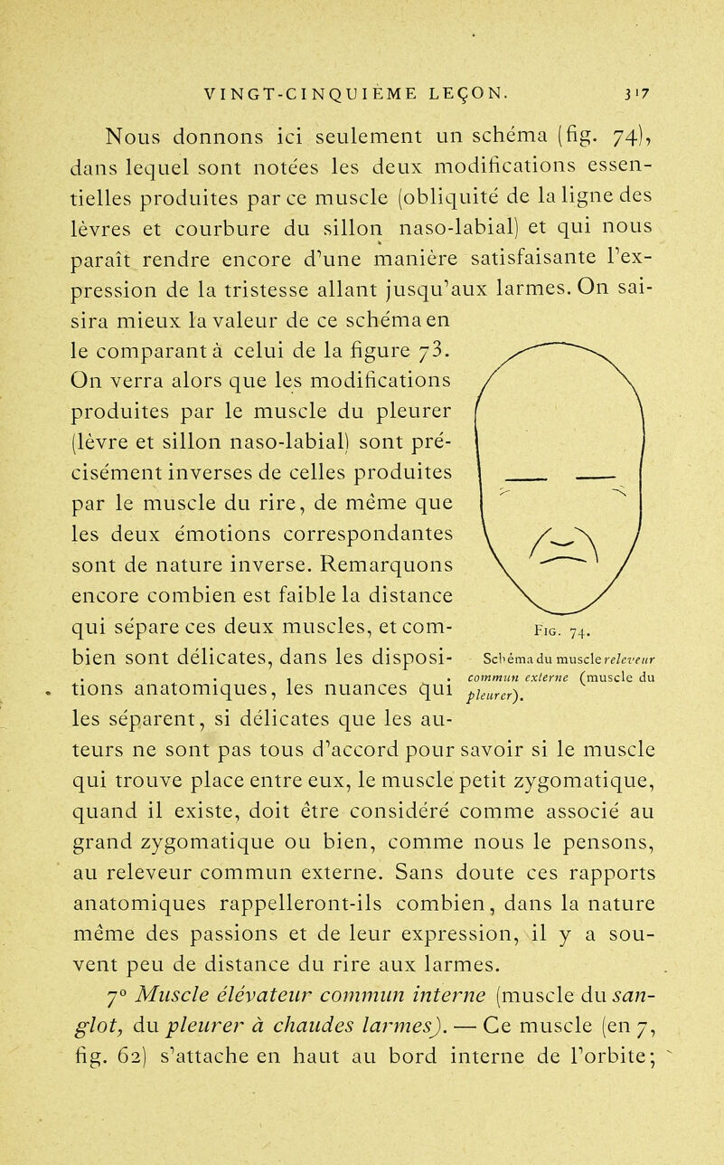 Nous donnons ici seulement un schéma (fig. 74), dans lequel sont notées les deux modifications essen- tielles produites par ce muscle (obliquité de la ligne des lèvres et courbure du sillon naso-labial) et qui nous paraît rendre encore d'une manière satisfaisante Fex- pression de la tristesse allant jusqu'aux larmes. On sai- sira mieux la valeur de ce schéma en le comparant à celui de la figure 73. On verra alors que les modifications produites par le muscle du pleurer (lèvre et sillon naso-labial) sont pré- cisément inverses de celles produites par le muscle du rire, de même que les deux émotions correspondantes sont de nature inverse. Remarquons encore combien est faible la distance qui sépare ces deux muscles, et com- fig. 74. bien sont délicates, dans les disposi- Schém^^ànmusderehveur 1 . commun externe Cmuscle du , tions anatomiques, les nuances qui puurer). les séparent, si délicates que les au- teurs ne sont pas tous d'accord pour savoir si le muscle qui trouve place entre eux, le muscle petit zygomatique, quand il existe, doit être considéré comme associé au grand zygomatique ou bien, comme nous le pensons, au releveur commun externe. Sans doute ces rapports anatomiques rappelleront-ils combien, dans la nature même des passions et de leur expression, il y a sou- vent peu de distance du rire aux larmes. y Muscle élévateur commun interne (muscle du san- glot, du pleurer à chaudes larmes). — Ce muscle (en 7, fig. 62) s'attache en haut au bord interne de l'orbite;