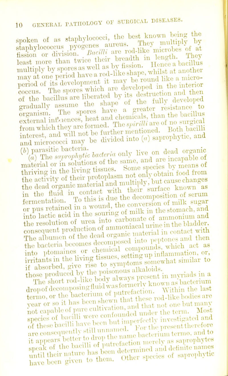 spoken of as staphylococci, the l^wn ^ebg the staphylococcus J^^^^n^^oA-^rn^'oi ^ fission or division. _ LacUli: aic i J _ j^^^, least more than twice their bieadth H^-^^^^^-^^^, multiply hy spores as well as0. h.^on^ Ikn e ^^^^^^^^^^ may at one peiuod have a iod- ike sh^ape^^ period of Its developmtmt It may 1^^^^^^^^^^ ^^^.^^ coccus. The ^r^i-^VT fts deS^ and then of the bacillus are liberated by it. developed gradually assume the shape of ^be uUj cie 1 Srgamsm, The spoils ^« ^.^tt^'baciUus (h) parasitic bacteria. ■,. organic ^ The .«prop%^/c ncapable of material or m solutions of the ^^^^'J^^ -^^ ^\eans of thriving in the living tif^f-^^^^.'^X obtain food fi-om the activity of their r^toplasm o the dead organic material aud niim^^^^^^^^ f the flvid - -^tc^^^ the'lecompositionof sei^^^ fermentation, io tnis is i conversion of milk sugar or pus retained m a wound, the 0011^ 51^1 .tomach, and inti lactic acid i^a tl^^Xfalo'^te of Simonium and the resolution of urea into .^^ consequent production o ^^^/^^ i contact with The albumen of the dead orgai c  ^ ^ ^.^^^^ then tla. bac'teria becomes ^ ^3^*^^, ' ,ii ^kich act as into ptonuunes.or ir^tt,unn.i\nn. or, iriitants in the living ti^sue.^^^^^^^^^ ,o\newhat similar to if absorbed, give rise to. s> ^»  1.,id^ those produced bv the PO-^no ^^^^^ ,,,.iad^  The short vod-hke body al^• ^ M;^^ s in a The short ^-^^-'^'^'^.^^'^y  „ ^r ^kn-.w. n^bactcrium dropof dec.nn]H,slnglUnd^^a^to ^^^^.^^ j^,^^ termo, or tly^ l^-'^ : ,od-like bodies are year or so it has ^^<' that n,)t one but many rot capable of pin-e ''^^Itiva u ■ I • ^ j^l,.,,^ species of biunlh were conlo uukd u ^^i„.,ted and KesebacilH;u.vob<-^l-t;mp., ; .ve conseqn-ntly .J iJ.lviJnn Icnno. and to it appears better to di o]' t u nam saprophvtes :;K.ii of .the bacilb ;:;;S,d alul deiiJite^niCS ,/„til tlunr nature has been d ^n .^^ ,,,,,ophytic have been given to them, utnci 1