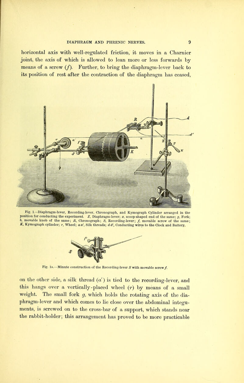 horizontal axis with well-regulated friction, it moves in a Charnier joint, the axis of which is allowed to lean more or less forwards by means of a screw (/). Further, to bring the diaphragm-lever back to its position of rest after the contraction of the diaphragm has ceased, ^iS- 1.—Diaphragm-lever, Recording-lever, Chronograph, and Kymograph Cylinder arranged in the position for conducting the experiment. Z, Diaphragm-lever; x, scoop-shaped end of tlie same; g, Fork; 6, movable knob of the same; B, Chronograph; S, Recording-lever; /, movable screw of the same; K, Kymograph cylinder; r, Wheel; aa', Silk threads; dd'. Conducting wires to the Clock and Battery. Fig. la.—Minute construction of the Recording-lever S with movable screw/. on the other side, a silk thread (a) is tied to the recording-lever, and this hangs over a vertically-placed wheel (r) by means of a small weight. The small fork g, which holds the rotating axis of the dia- phragm-lever and which comes to lie close over the abdominal integu- ments, is screwed on to the cross-bar of a support, which stands near the rabbit-holder; this arrangement has proved to be more practicable