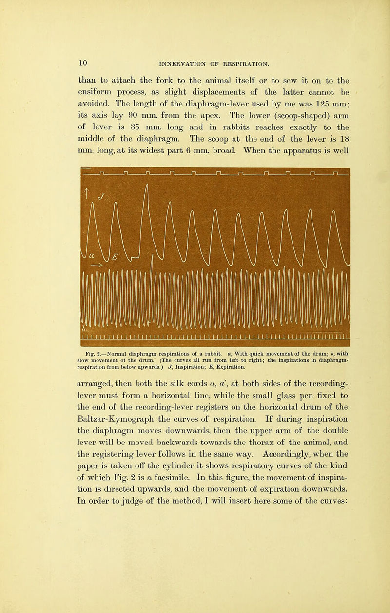 than to attach the fork to the animal itself or to sew it on to the ensiform process, as slight displacements of the latter cannot be avoided. The length of the diaphragm-lever used by me was 125 mm; its axis lay 90 mm. from the apex. The lower (scoop-shaped) arm of lever is 35 mm. long and in rabbits reaches exactly to the middle of the diaphragm. The scoop at the end of the lever is 18 mm. long, at its widest part 6 mm. broad. When the apparatus is well Fig. 2.—Normal diaphragm respirations of a rabbit, a. With quick movement of the drum; h, with slow movement of the drum.' (The curves all run from left to right; the inspirations in diaphragm- respiration from below upwards.) J, Inspiration; E, Expiration. arranged, then both the silk cords a, a, at both sides of the recording- lever must form a horizontal line, while the small glass pen fixed to the end of the recording-lever registers on the horizontal drum of the Baltzar-Kymograph the curves of respiration. If during inspiration the diaphragm moves downwards, then the upper arm of the double lever will be moved backwards towards the thorax of the animal, and the registering lever follows in the same way. Accordingly, when the paper is taken off the cylinder it shows respiratory curves of the kind of which Fig. 2 is a facsimile. In this figure, the movement of inspira- tion is directed upwards, and the movement of expiration downwards. In order to judge of the method, I will insert here some of the curves: