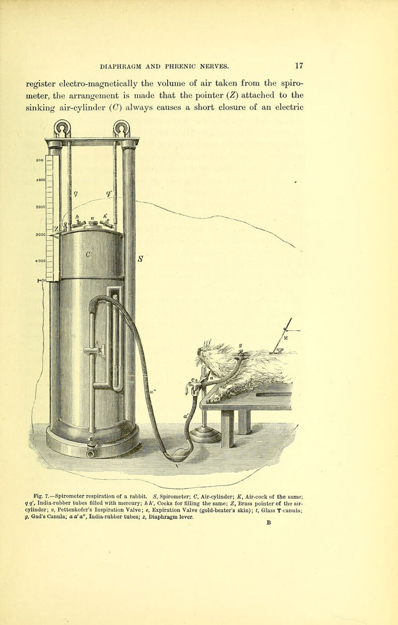 register electro-magnetically the volume of air taken from the spiro- meter, the arrangement is made that the pointer {Z) attached to the sinking air-cylinder (C) always causes a short closure of an electric Fig. 7.—Spirometer respiration of a rabbit. S, Spirometer; C, Air-cylinder; E, Air-cock of the same; qq', India-rubber tubes filled with mercury; hK, Cocks for filling the same; Z, Brass pointer of the air- cylinder; V, Pettenkofer's Inspiration Valve; e, Expiration Valve (gold-beater's skin); t, Glass T-tauula; g. Gad's Canula; a a' a, India-rubber tubes; z. Diaphragm lever.