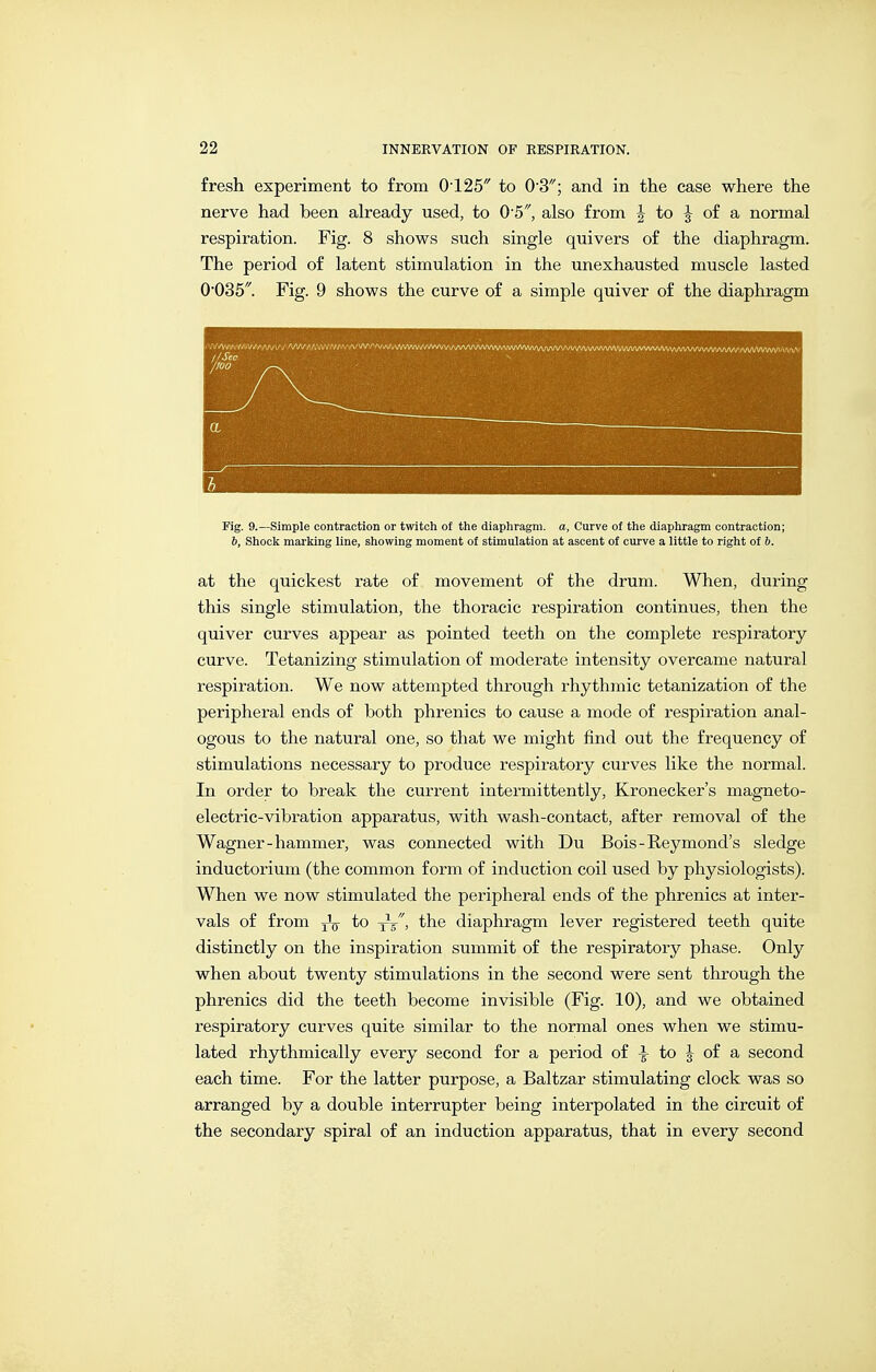 fresh experiment to from 0-125 to O'S; and in the case where the nerve had been already used, to O'ö, also from J to J of a normal respiration. Fig. 8 shows such single quivers of the diaphragm. The period of latent stimulation in the unexhausted muscle lasted 0'035. Fig. 9 shows the curve of a simple quiver of the diaphragm Fig. 9.—Simple contraction or twitch of the diaphragm, a, Curve of the diaphragm contraction; 6, Shook marking line, showing moment of stimulation at ascent of cm-ve a little to right of &. at the quickest rate of movement of the drum. When, during this single stimulation, the thoracic respiration continues, then the quiver curves appear as pointed teeth on the complete respiratory curve. Tetanizing stimulation of moderate intensity overcame natural respiration. We now attempted through rhythmic tetanization of the peripheral ends of both phrenics to cause a mode of respiration anal- ogous to the natural one, so that we might find out the frequency of stimulations necessary to produce respiratory curves like the normal. In order to break the current intermittently, Kronecker's magneto- electric-vibration apparatus, with wash-contact, after removal of the Wagner-hammer, was connected with Du Bois-Reymond's sledge inductorium (the common form of induction coil used by physiologists). When we now stimulated the peripheral ends of the phrenics at inter- vals of from jL to xV, ■the diaphragm lever registered teeth quite distinctly on the inspiration summit of the respiratory phase. Only when about twenty stimulations in the second were sent through the phrenics did the teeth become invisible (Fig. 10), and we obtained respiratory curves quite similar to the normal ones when we stimu- lated rhythmically every second for a period of ^ to J of a second each time. For the latter purpose, a Baltzar stimulating clock was so arranged by a double interrupter being interpolated in the circuit of the secondary spiral of an induction apparatus, that in every second