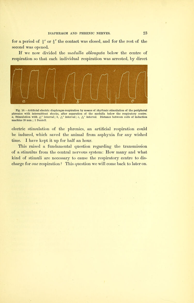 for a period of or ^ the contact was closed, and for the rest of the second was opened. If we now divided the medulla oblongata below the centre of respiration so that each individual respiration was arrested, by direct Fig. 10.—Artificial electric diaphragm-respiration by means of rhythmic stimulation of the peripheral phrenics with intermittent shocks, after separation of the medulla below the respiratory centre. a. Stimulation with yV' interval; b, interval; c, interval. Distance between coils of induction machine 20 mm.; 1 Daniell. electric stimulation of the phrenics, an artificial respiration could be induced, which saved the animal from asphyxia for any wished time. I have kept it up for half an hour. This raised a fundamental question regarding the transmission of a stimulus from the central nervous system: How many and what kind of stimuli are necessary to cause the respiratory centre to dis- charge for one respiration ? This question we will come back to later on.