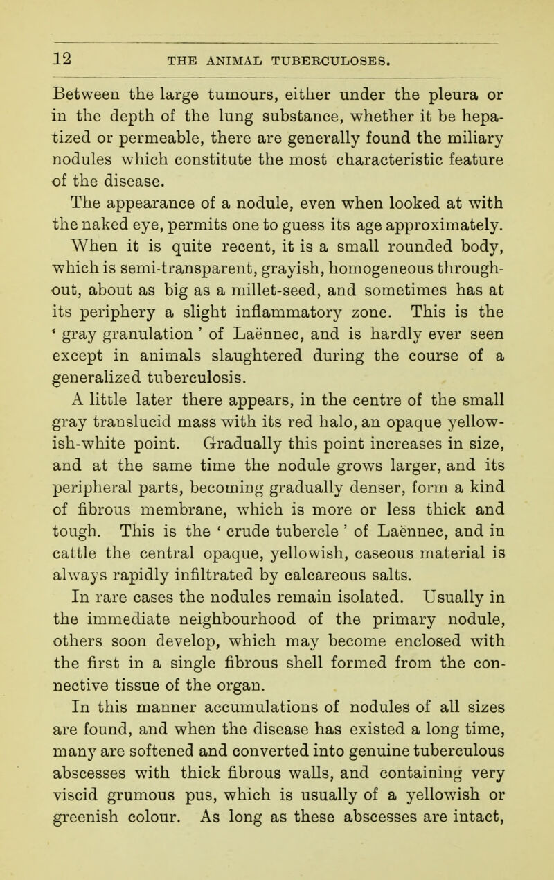 Between the large tumours, either under the pleura or in the depth of the lung substance, whether it be hepa- tized or permeable, there are generally found the miliary nodules which constitute the most characteristic feature of the disease. The appearance of a nodule, even when looked at with the naked eye, permits one to guess its age approximately. When it is quite recent, it is a small rounded body, which is semi-transparent, grayish, homogeneous through- out, about as big as a millet-seed, and sometimes has at its periphery a slight inflammatory zone. This is the ' gray granulation ' of Laënnec, and is hardly ever seen except in animals slaughtered during the course of a generalized tuberculosis. A little later there appears, in the centre of the small gray translucid mass with its red halo, an opaque yellow- ish-white point. Gradually this point increases in size, and at the same time the nodule grows larger, and its peripheral parts, becoming gradually denser, form a kind of fibrous membrane, which is more or less thick and tough. This is the ' crude tubercle ' of Laënnec, and in cattle the central opaque, yellowish, caseous material is ahvays rapidly infiltrated by calcareous salts. In rare cases the nodules remain isolated. Usually in the immediate neighbourhood of the primary nodule, others soon develop, which may become enclosed with the first in a single fibrous shell formed from the con- nective tissue of the organ. In this manner accumulations of nodules of all sizes are found, and when the disease has existed a long time, many are softened and converted into genuine tuberculous abscesses with thick fibrous walls, and containing very viscid grumous pus, which is usually of a yellowish or greenish colour. As long as these abscesses are intact.