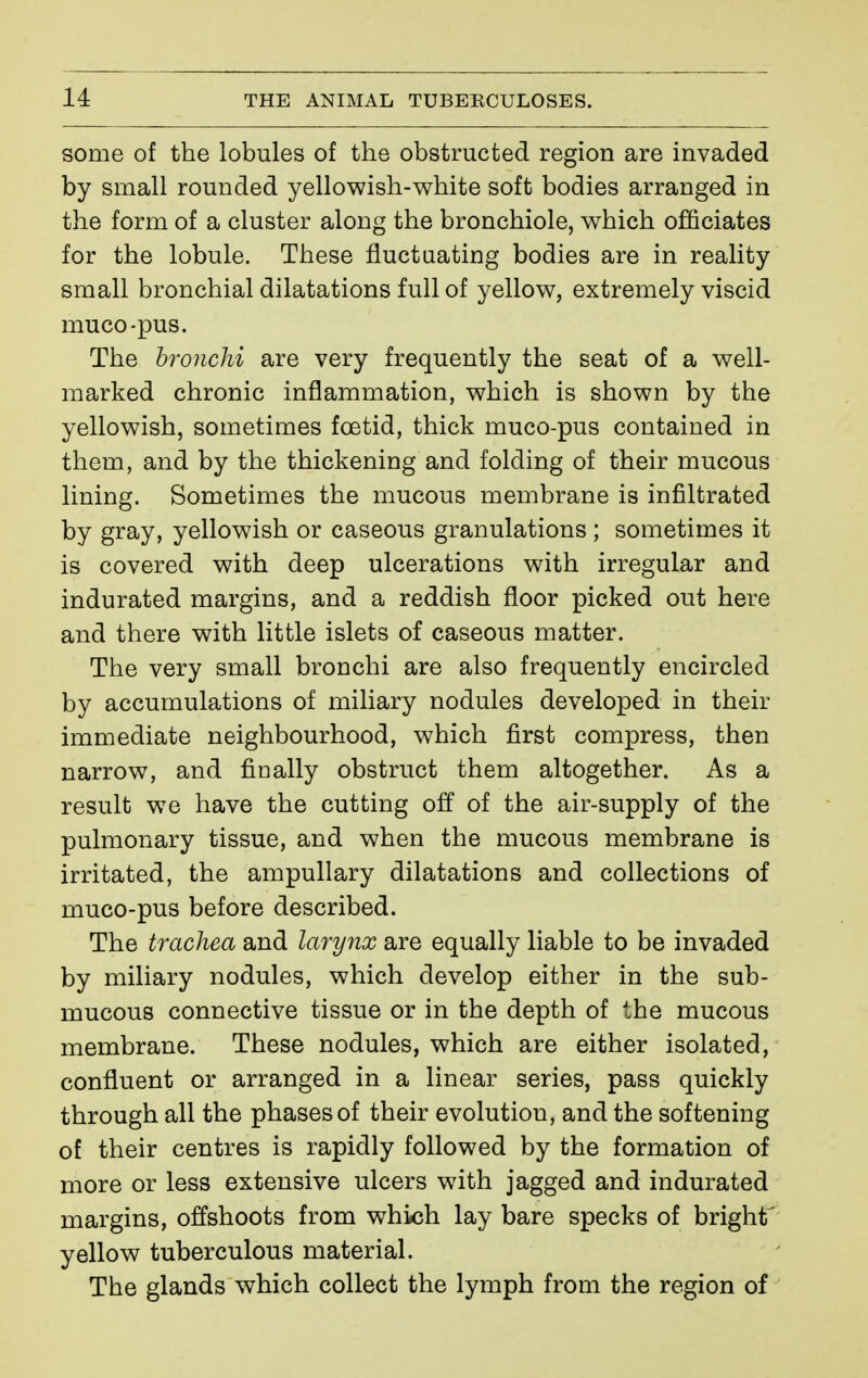 some of the lobules of the obstructed region are invaded by small rounded yellowish-white soft bodies arranged in the form of a cluster along the bronchiole, which officiates for the lobule. These fiuctaating bodies are in reality small bronchial dilatations full of yellow, extremely viscid muco-pus. The bronchi are very frequently the seat of a well- marked chronic inflammation, which is shown by the yellowish, sometimes fœtid, thick muco-pus contained in them, and by the thickening and folding of their mucous lining. Sometimes the mucous membrane is infiltrated by gray, yellowish or caseous granulations ; sometimes it is covered with deep ulcerations with irregular and indurated margins, and a reddish floor picked out here and there with little islets of caseous matter. The very small bronchi are also frequently encircled by accumulations of miliary nodules developed in their immediate neighbourhood, which first compress, then narrow, and fioally obstruct them altogether. As a result we have the cutting off of the air-supply of the pulmonary tissue, and when the mucous membrane is irritated, the ampullary dilatations and collections of muco-pus before described. The trachea and larynx are equally liable to be invaded by miliary nodules, which develop either in the sub- mucous connective tissue or in the depth of the mucous membrane. These nodules, which are either isolated, confluent or arranged in a linear series, pass quickly through all the phases of their evolution, and the softening of their centres is rapidly followed by the formation of more or less extensive ulcers with jagged and indurated margins, offshoots from which lay bare specks of bright^ yellow tuberculous material. The glands which collect the lymph from the region of