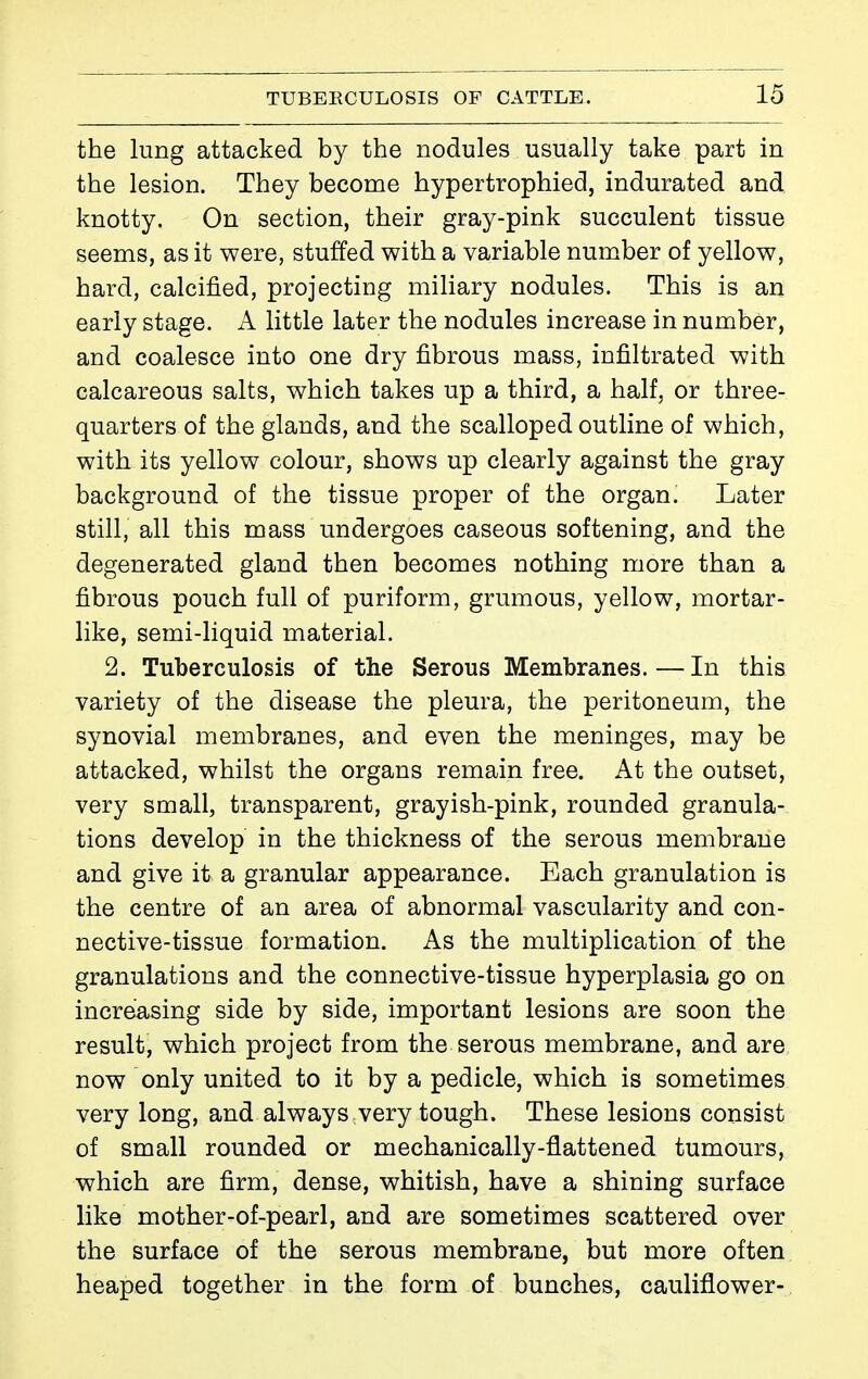 the lung attacked by the nodules usually take part in the lesion. They become hypertrophied, indurated and knotty. On section, their gray-pink succulent tissue seems, as it were, stuffed with a variable number of yellow, hard, calcified, projecting miliary nodules. This is an early stage. A little later the nodules increase in number, and coalesce into one dry fibrous mass, infiltrated with calcareous salts, which takes up a third, a half, or three- quarters of the glands, and the scalloped outline of which, with its yellow colour, shows up clearly against the gray background of the tissue proper of the organ. Later still, all this mass undergoes caseous softening, and the degenerated gland then becomes nothing more than a fibrous pouch full of puriform, grumous, yellow, mortar- like, semi-liquid material. 2. Tuberculosis of the Serous Membranes.—In this variety of the disease the pleura, the peritoneum, the synovial membranes, and even the meninges, may be attacked, whilst the organs remain free. At the outset, very small, transparent, grayish-pink, rounded granula- tions develop in the thickness of the serous membrane and give it a granular appearance. Each granulation is the centre of an area of abnormal vascularity and con- nective-tissue formation. As the multiplication of the granulations and the connective-tissue hyperplasia go on increasing side by side, important lesions are soon the result, which project from the serous membrane, and are now only united to it by a pedicle, which is sometimes very long, and always very tough. These lesions consist of small rounded or mechanically-flattened tumours, which are firm, dense, whitish, have a shining surface like mother-of-pearl, and are sometimes scattered over the surface of the serous membrane, but more often heaped together in the form of bunches, cauliflower-