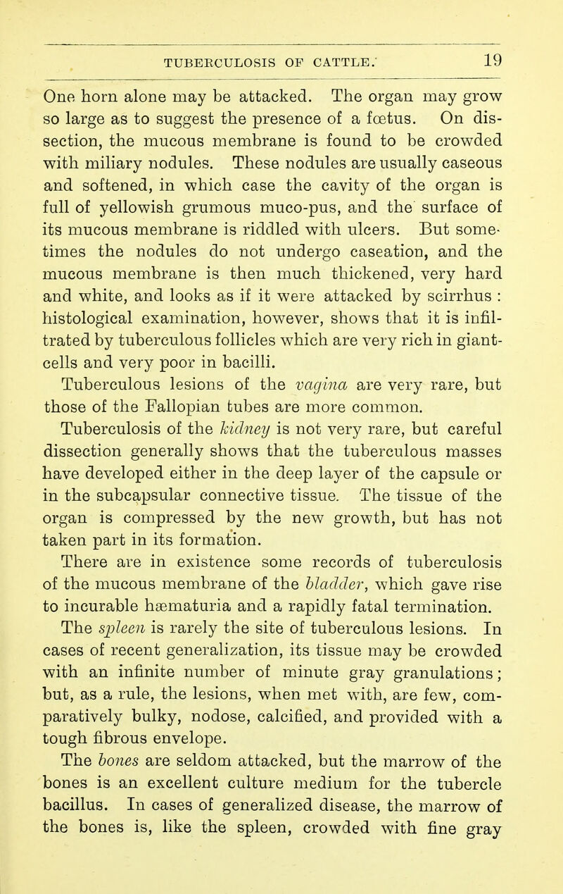 One horn alone may be attacked. The organ may grow so large as to suggest the presence of a foetus. On dis- section, the mucous membrane is found to be crowded with miliary nodules. These nodules are usually caseous and softened, in which case the cavity of the organ is full of yellowish grumous muco-pus, and the surface of its mucous membrane is riddled with ulcers. But some- times the nodules do not undergo caseation, and the mucous membrane is then much thickened, very hard and white, and looks as if it were attacked by scirrhus : histological examination, however, shows that it is infil- trated by tuberculous follicles which are very rich in giant- cells and very poor in bacilli. Tuberculous lesions of the vagina are very rare, but those of the Fallopian tubes are more common. Tuberculosis of the kidney is not very rare, but careful dissection generally shows that the tuberculous masses have developed either in the deep layer of the capsule or in the subcapsular connective tissue. The tissue of the organ is compressed by the new growth, but has not taken part in its formation. There are in existence some records of tuberculosis of the mucous membrane of the bladder, which gave rise to incurable hsematuria and a rapidly fatal termination. The spleen is rarely the site of tuberculous lesions. In cases of recent generalization, its tissue may be crowded with an infinite number of minute gray granulations ; but, as a rule, the lesions, when met with, are few, com- paratively bulky, nodose, calcified, and provided with a tough fibrous envelope. The hones are seldom attacked, but the marrow of the bones is an excellent culture medium for the tubercle bacillus. In cases of generalized disease, the marrow of the bones is, like the spleen, crowded with fine gray