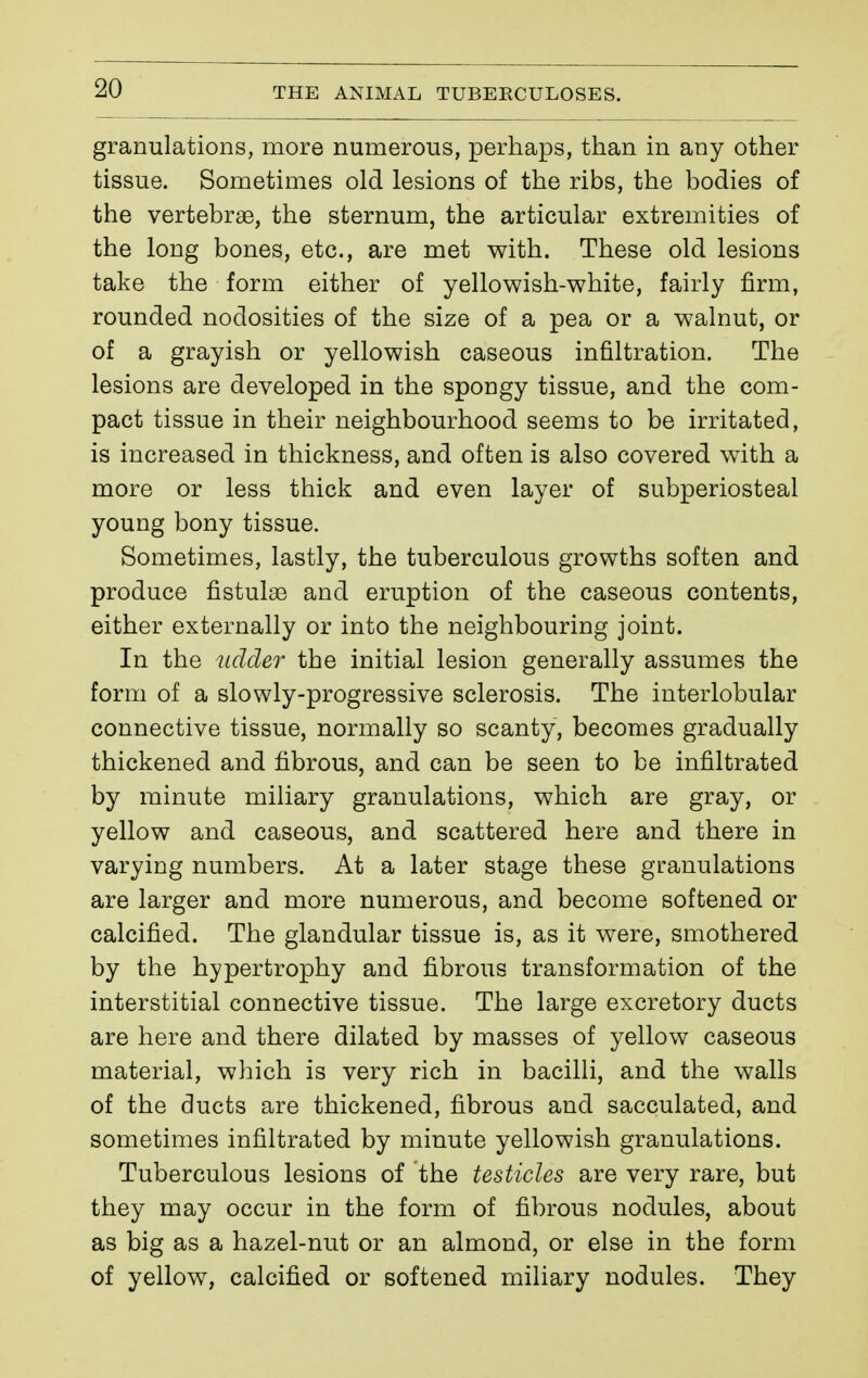 granulations, more numerous, perhaps, than in any other tissue. Sometimes old lesions of the ribs, the bodies of the vertebrae, the sternum, the articular extremities of the long bones, etc., are met with. These old lesions take the form either of yellowish-white, fairly firm, rounded nodosities of the size of a pea or a walnut, or of a grayish or yellowish caseous infiltration. The lesions are developed in the spongy tissue, and the com- pact tissue in their neighbourhood seems to be irritated, is increased in thickness, and often is also covered with a more or less thick and even layer of subperiosteal young bony tissue. Sometimes, lastly, the tuberculous growths soften and produce fistulse and eruption of the caseous contents, either externally or into the neighbouring joint. In the udder the initial lesion generally assumes the form of a slowly-progressive sclerosis. The interlobular connective tissue, normally so scanty, becomes gradually thickened and fibrous, and can be seen to be infiltrated by minute miliary granulations, which are gray, or yellow and caseous, and scattered here and there in varying numbers. At a later stage these granulations are larger and more numerous, and become softened or calcified. The glandular tissue is, as it were, smothered by the hypertrophy and fibrous transformation of the interstitial connective tissue. The large excretory ducts are here and there dilated by masses of yellow caseous material, which is very rich in bacilli, and the walls of the ducts are thickened, fibrous and sacculated, and sometimes infiltrated by minute yellowish granulations. Tuberculous lesions of the testicles are very rare, but they may occur in the form of fibrous nodules, about as big as a hazel-nut or an almond, or else in the form of yellow, calcified or softened miliary nodules. They