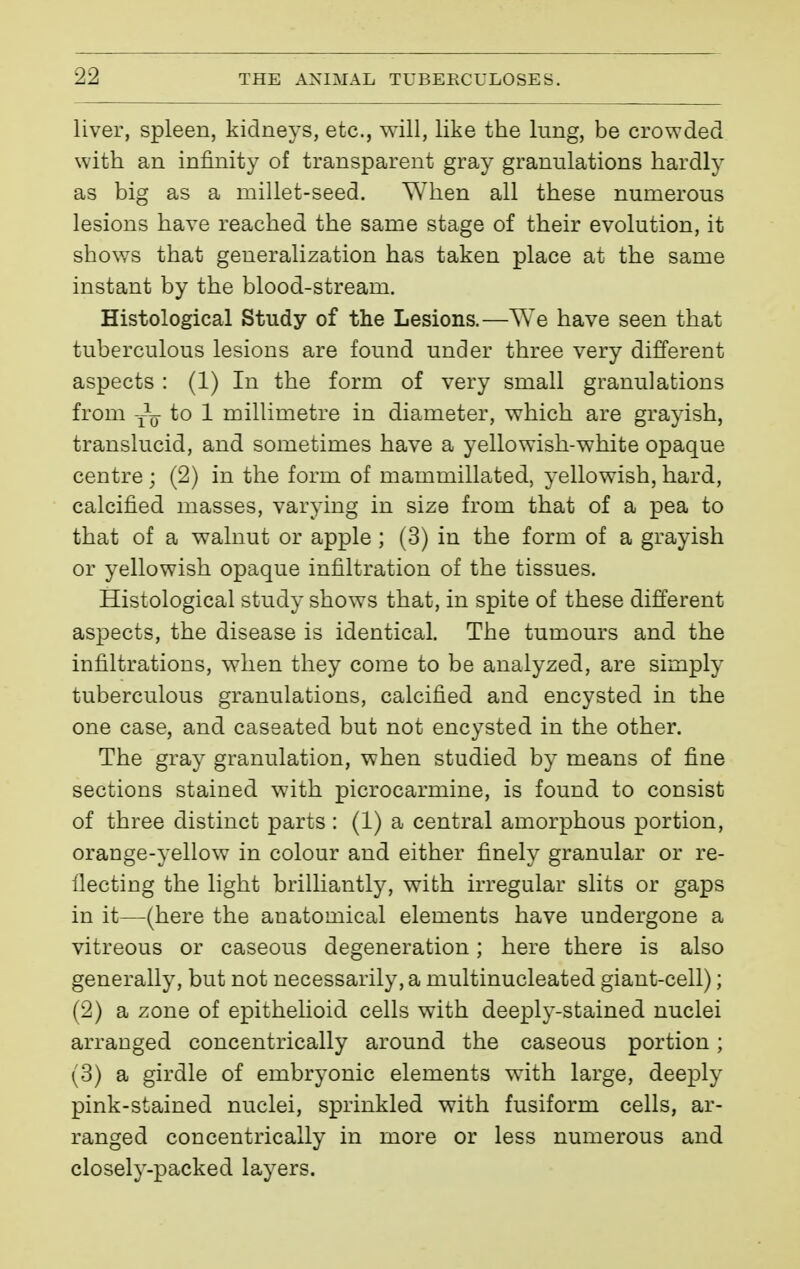 liver, spleen, kidneys, etc., will, like the lung, be crowded with an infinity of transparent gray granulations hardly as big as a millet-seed. When all these numerous lesions have reached the same stage of their evolution, it shows that generalization has taken place at the same instant by the blood-stream. Histological Study of the Lesions.—We have seen that tuberculous lesions are found under three very different aspects : (1) In the form of very small granulations from -i- to 1 millimetre in diameter, which are grayish, translucid, and sometimes have a yellowish-white opaque centre ; (2) in the form of mammillated, yellowish, hard, calcified masses, varying in size from that of a pea to that of a walnut or apple ; (3) in the form of a grayish or yellowish opaque infiltration of the tissues. Histological study shows that, in spite of these different aspects, the disease is identical. The tumours and the infiltrations, when they come to be analyzed, are simply tuberculous granulations, calcified and encysted in the one case, and caseated but not encysted in the other. The gray granulation, when studied by means of fine sections stained with picrocarmine, is found to consist of three distinct parts : (1) a central amorphous portion, orange-yellow in colour and either finely granular or re- flecting the light brilliantly, with irregular slits or gaps in it—(here the anatomical elements have undergone a vitreous or caseous degeneration ; here there is also generally, but not necessarily, a multinucleated giant-cell) ; (2) a zone of epithelioid cells with deeply-stained nuclei arranged concentrically around the caseous portion ; (3) a girdle of embryonic elements with large, deeply pink-stained nuclei, sprinkled with fusiform cells, ar- ranged concentrically in more or less numerous and closely-packed layers.