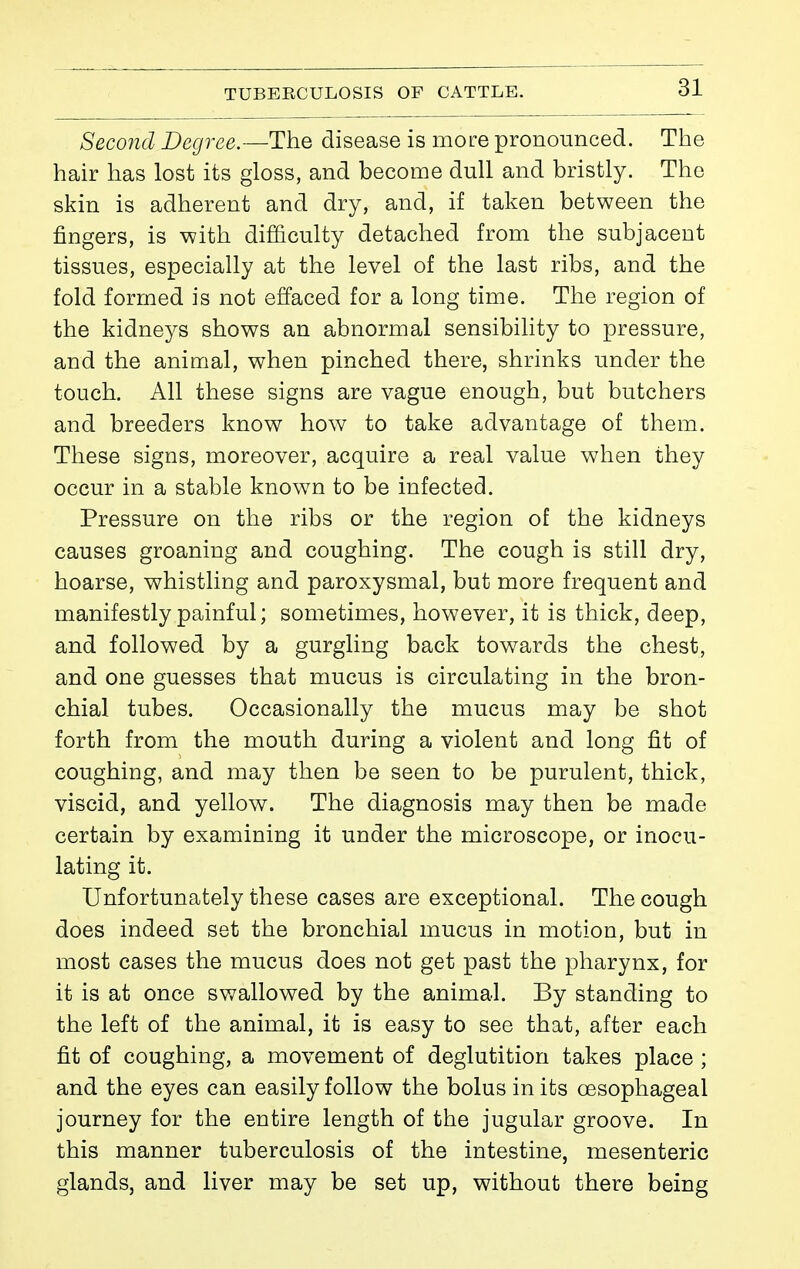 Second Degree.—The disease is more pronounced. The hair has lost its gloss, and become dull and bristly. The skin is adherent and dry, and, if taken between the fingers, is with difficulty detached from the subjacent tissues, especially at the level of the last ribs, and the fold formed is not effaced for a long time. The region of the kidneys shows an abnormal sensibility to pressure, and the animal, when pinched there, shrinks under the touch. All these signs are vague enough, but butchers and breeders know how to take advantage of them. These signs, moreover, acquire a real value when they occur in a stable known to be infected. Pressure on the ribs or the region of the kidneys causes groaning and coughing. The cough is still dry, hoarse, whistling and paroxysmal, but more frequent and manifestly painful ; sometimes, however, it is thick, deep, and followed by a gurgling back towards the chest, and one guesses that mucus is circulating in the bron- chial tubes. Occasionally the mucus may be shot forth from the mouth during a violent and long fit of coughing, and may then be seen to be purulent, thick, viscid, and yellow. The diagnosis may then be made certain by examining it under the microscope, or inocu- lating it. Unfortunately these cases are exceptional. The cough does indeed set the bronchial mucus in motion, but in most cases the mucus does not get past the pharynx, for it is at once swallowed by the animal. By standing to the left of the animal, it is easy to see that, after each fit of coughing, a movement of deglutition takes place ; and the eyes can easily follow the bolus in its œsophageal journey for the entire length of the jugular groove. In this manner tuberculosis of the intestine, mesenteric glands, and liver may be set up, without there being