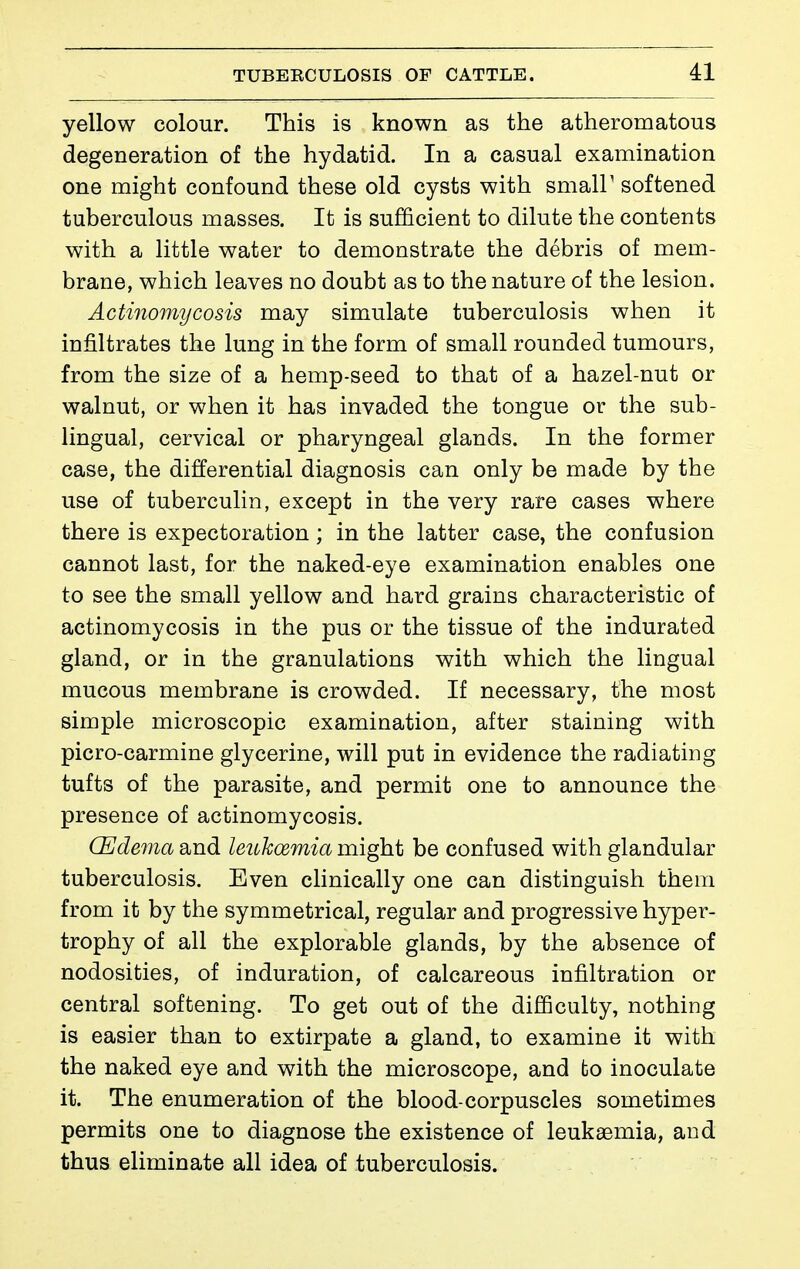 yellow colour. This is known as the atheromatous degeneration of the hydatid. In a casual examination one might confound these old cysts with smair softened tuberculous masses. It is sufficient to dilute the contents with a little water to demonstrate the débris of mem- brane, which leaves no doubt as to the nature of the lesion. Actinomycosis may simulate tuberculosis when it infiltrates the lung in the form of small rounded tumours, from the size of a hemp-seed to that of a hazel-nut or walnut, or when it has invaded the tongue or the sub- lingual, cervical or pharyngeal glands. In the former case, the differential diagnosis can only be made by the use of tuberculin, except in the very rare cases where there is expectoration ; in the latter case, the confusion cannot last, for the naked-eye examination enables one to see the small yellow and hard grains characteristic of actinomycosis in the pus or the tissue of the indurated gland, or in the granulations with which the lingual mucous membrane is crowded. If necessary, the most simple microscopic examination, after staining with picro-carmine glycerine, will put in evidence the radiating tufts of the parasite, and permit one to announce the presence of actinomycosis. Œdema and leuhœmia might be confused with glandular tuberculosis. Even clinically one can distinguish them from it by the symmetrical, regular and progressive hyper- trophy of all the explorable glands, by the absence of nodosities, of induration, of calcareous infiltration or central softening. To get out of the difficulty, nothing is easier than to extirpate a gland, to examine it with the naked eye and with the microscope, and to inoculate it. The enumeration of the blood-corpuscles sometimes permits one to diagnose the existence of leukaemia, and thus eliminate all idea of tuberculosis.