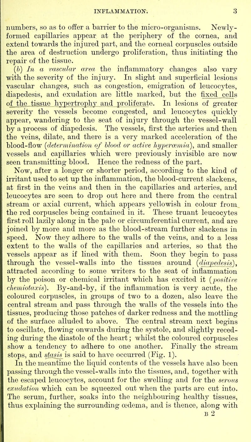 numbers, so as to offer a barrier to the micro-organisms. Newly- formed capillaries appear at the periphery of the cornea, and extend towards the injured part, and the corneal corpuscles outside the area of destruction undergo proliferation, thus initiating the repair of the tissue. {b) In a vascular area the inflammatory changes also vary with the severity of the injury. In slight and superficial lesions vascular changes, such as congestion, emigration of leucocytes, diapedesis, and exudation are little marked, but the fixed cejls of the, tissue hyjpertrophy and proliferate. In lesions of greater severity the vessels become congested, and leucocytes quickly appear, wandering to the seat of injury through the vessel-wall by a process of diapedesis. The vessels, first the arteries and then the veins, dilate, and there is a very marked acceleration of the blood-flow [determination of hlood or active JiyjK^rcemia), and smaller vessels and capillaries which were previous^ invisible are now seen transmitting blood. Hence the redness of the part. Now, after a longer or shorter period, according to the kind of irritant used to set up the inflammation, the blood-current slackens, at first in the veins and then in the capillaries and arteries, and leucocytes are seen to drop out here and there from the central stream or axial current, which appears yellowish in colour from the red corpuscles being contained in it. These truant leucocytes first roll lazily along in the pale or circumferential current, and are joined by more and more as the blood-stream further slackens in speed. Now they adhere to the walls of the veins, and to a less extent to the walls of the capillaries and arteries, so that the vessels appear as if lined with them. Soon they begin to pass through the vessel-walls into the tissues around {diajiede^is), attracted according to some writers to the seat of inflammation by the poison or chemical irritant which has excited it [j^ositive cliemiotaxis). By-and-by, if the inflammation is very acute, the coloui'ed corpuscles, in groups of two to a dozen, also leave the central stream and pass through the walls of the vessels into the tissues, producing those patches of darker redness and the mottling of the surface alluded to above. The central stream next begins to oscillate, flowing onwards during the systole, and slightly reced- ing during the diastole of the heart; whilst the coloured corpuscles show a tendency to adhere to one another. Finally the stream stops, and stems is said to have occurred (Fig. 1). In the meantime the liquid contents of the vessels have also been passing through the vessel-walls into the tissues, and, together with the escaped leucocytes, account for the swelling and for the serous exudation which can be squeezed out when the parts are cut into. The serum, further, soaks into the neighbouring healthy tissues, thus explaining the surrounding oedema, and is thence, along with B 2