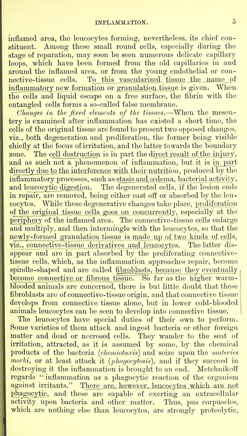 inflamed area, the leucocytes forming, nevertheless, its chief con- stituent. Among these small round cells, especially during the stage of reparation, may soon be seen numerous delicate capillary loops, which have been formed from the old capillaries in and around the inflamed area, or from the young endothelial or con- nective-tissue cells. To this vascularized tissue the ,n.ame of inflammatory new formation or granulation tissue is given. When the cells and liquid escape on a free surface, the fibrin with the entangled cells forms a so-called false membrane. Changes in the fixed elements of the tissues.—When the mesen- tery is examined after inflammation has existed a short time, the cells of the original tissue are found to present two opposed changes, viz., both degeneration and proliferation, the former being visible chiefly at the focus of irritation, and the latter towards the boundary zone. The cell destruction is in -pnrt the directj:esult of the injury, and as such not a phenomenon of inflammation, but it is in part directly due to the interference with their nutrition, produced by the inflammatory processes, such as slbasis and oedema, bacterial activity, and leucocytic digestion. The degenerated cells, if the lesion ends in repair, are removed, being either cast off or absorbed by the leu- cocytes. While these degenerative changes take place, proliferation of_the original tissue cells goes on concurrently, especially at the periphery of the inflamed area. The connective-tissue cells enlarge and multiply, and then intermingle with the leucocytes, so that the newly-formed granulation tissue is made up of two kinds of cells, viz., connective-tissue derivatives and leucocytes. The latter dis- appear and are in part absorbed by the proliferating connective- tissue cells, which, as the inflammation ap23roaches repair, become spindle-shaped and are called fihrobjxists, because they eventually become connective or fibrous tissue. So far as the higher warm- blooded animals are concerned, there is but little doubt that these fibroblasts are of connective-tissue origin, and that connective tissue develops from connective tissue alone, but in lower cold-blooded animals leucocytes can be seen to develop into connective tissue. The leucocytes have special duties of their own to perform. Some varieties of them attack and ingest bacteria or other foreign matter and dead or necrosed cells. They wander to the seat of irritation, attracted, as it is assumed by some, by the chemical products of the bacteria [chemiotaxis) and seize upon the materies morhi, or at least attack it {phagocytosis), and if they succeed in destroying it the inflammation is brought to an end. Metchnikoff regards inflammation as a phagocytic reaction of the organism against irritants. Thero^_are, however, .Ieui30cyte5 .which are not phagocytic, and these arc capable of exerting an extracellular activity upon bacteria and other matter. Thus, pus corpuscles, which are nothing else than leucocytes, are strongly proteolytic.
