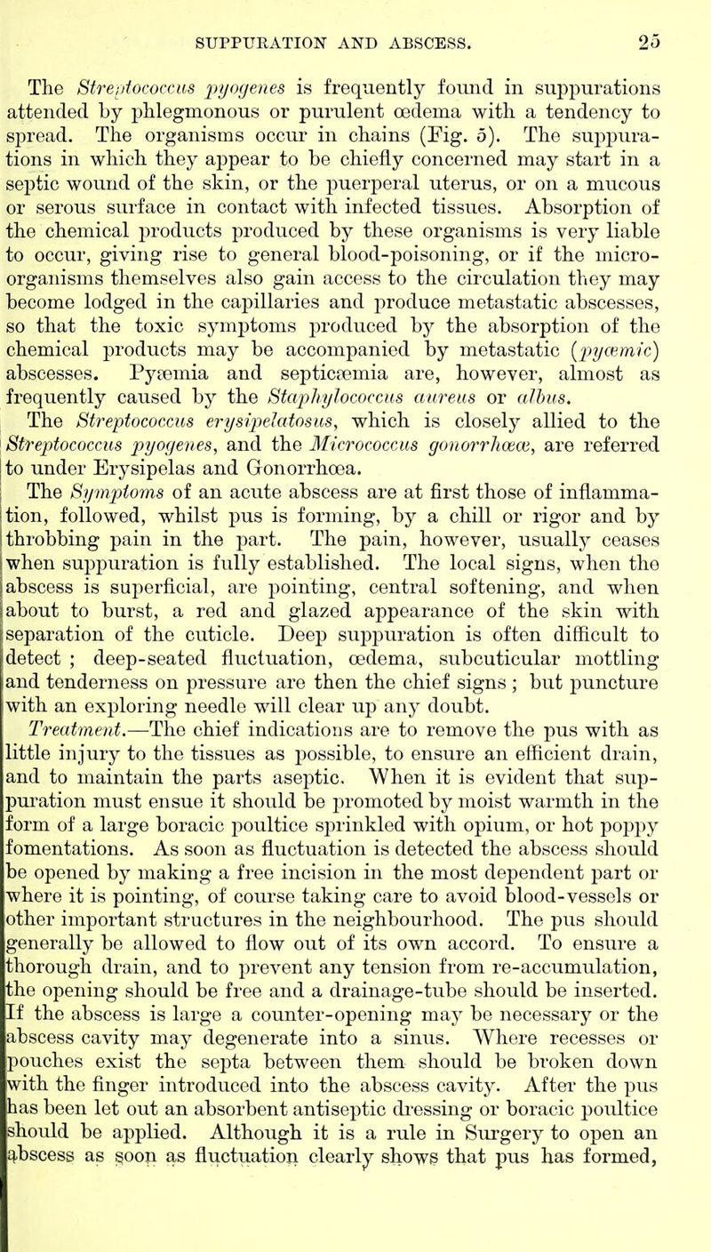 The Streptococcus pl/ogenes is frequently found in suppurations attended by phlegmonous or purulent oedema with a tendency to spread. The organisms occur in chains (Fig. 5). The suppura- tions in which they appear to be chiefly concerned may start in a septic wound of the skin, or the puerperal uterus, or on a mucous or serous surface in contact with infected tissues. Absorption of the chemical products produced by these organisms is very liable to occur, giving rise to general blood-poisoning, or if the micro- organisms themselves also gain access to the circulation they may become lodged in the capillaries and produce metastatic abscesses, so that the toxic symptoms produced by the absorption of the chemical products may be accompanied by metastatic (pycemic) abscesses. Py?emia and septicaemia are, however, almost as frequently caused by the Staphylococcus aureus or alhus. The Streptococcus erysipeJatosus, which is closely allied to the [Streptococcus pyogenes, and \he Micrococcus gonorrhoeae, are referred to under Erysipelas and Gonorrhoea. The Symptoms of an acute abscess are at first those of inflamma- tion, followed, whilst pus is forming, by a chill or rigor and by throbbing pain in the part. The pain, however, usually ceases when suppuration is fully established. The local signs, when the abscess is superficial, are pointing, central softening, and when I about to burst, a red and glazed appearance of the skin with separation of the cuticle. Deep suppuration is often difficult to detect ; deep-seated fluctuation, oedema, subcuticular mottling and tenderness on pressure are then the chief signs ; but j)uncture with an exploring needle will clear up any doubt. Treatment.—The chief indications are to remove the pus with as little injury to the tissues as possible, to ensure an efficient drain, and to maintain the parts aseptic. When it is evident that sup- puration must ensue it should be promoted by moist warmth in the form of a large boracic poultice sprinkled with opium, or hot poppy fomentations. As soon as fluctuation is detected the abscess should be opened by making a free incision in the most dependent part or where it is pointing, of course taking care to avoid blood-vessels or other important structures in the neighbourhood. The pus should generally be allowed to flow out of its own accord. To ensure a thorough drain, and to prevent any tension from re-accumulation, the opening should be free and a drainage-tube should be inserted. If the abscess is large a counter-opening may be necessary or the abscess cavity may degenerate into a sinus. Where recesses or pouches exist the septa between them should be broken down with the finger introduced into the abscess cavity. After the pus has been let out an absorbent antiseptic dressing or boracic poultice should be applied. Although it is a rule in Surgery to open an q-bscess as ^oon as fluctuation clearly shows that pus has formed.