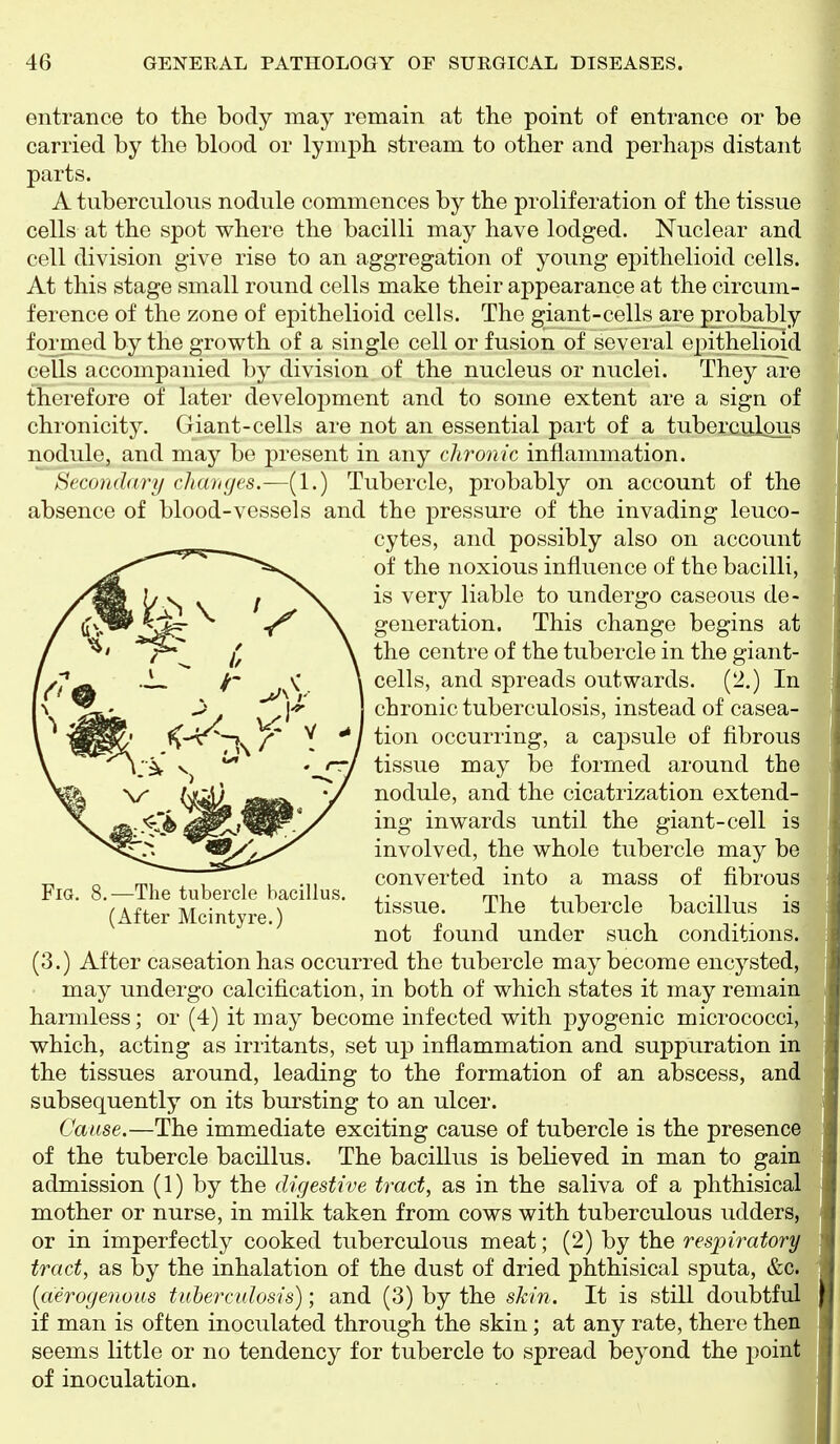 entrance to the body may remain at the point of entrance or be carried by the blood or lymph stream to other and perhaps distant parts. A tuberculous nodule commences by the proliferation of the tissue cells at the spot where the bacilli may have lodged. Nuclear and cell division give rise to an aggregation of young epithelioid cells. At this stage small round cells make their appearance at the circum- ference of the zone of epithelioid cells. The g;iant-cells are probably formed by the growth of a single cell or fusion of several epitheli^d cells accompanied by division of the nucleus or nuclei. They are therefore of later development and to some extent are a sign of chronicity. Giant-cells are not an essential part of a tuberculous nodule, and may be present in any chronic inflammation. Hecondary changes.—(1.) Tubercle, probably on account of the absence of blood-vessels and the pressure of the invading leuco- cytes, and possibly also on account of the noxious influence of the bacilli, is very liable to undergo caseous de- generation. This change begins at the centre of the tubercle in the giant- cells, and spreads outwards. (2.) In chronic tuberculosis, instead of casea- tion occurring, a capsule of fibrous tissue may be formed around the nodule, and the cicatrization extend- ing inwards until the giant-cell is involved, the whole tubercle may be converted into a mass of fibrous tissue. The tubercle bacillus is not found under such conditions. (3.) After caseation has occurred the tubercle may become encysted, may undergo calcification, in both of which states it may remain harmless; or (4) it may become infected with pyogenic micrococci, which, acting as irritants, set up inflammation and suppuration in the tissues around, leading to the formation of an abscess, and subsequently on its bursting to an ulcer. Cause.—The immediate exciting cause of tubercle is the presence of the tubercle bacillus. The bacillus is believed in man to gain admission (1) by the digestive tract, as in the saliva of a phthisical mother or nurse, in milk taken from cows with tuberculous udders, or in imperfectly cooked tuberculous meat; (2) by the respiratory tract, as by the inhalation of the dust of dried phthisical sputa, &c. [aerogenous tulerculosis); and (3) by the skin. It is still doubtful if man is often inoculated through the skin; at any rate, there then seems little or no tendency for tubercle to spread beyond the point of inoculation. 8.—The tubercle bacillus. (After Mcintyre.)
