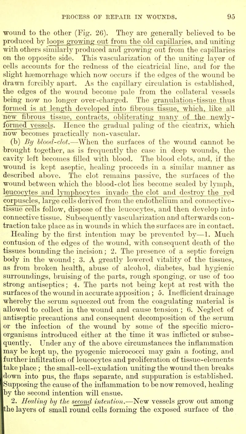 wound to the other (Fi.u. 2(1). Tlioy arc i^-enerally believed to be produced by loops growinu- out fioiii the old capillaries, and uniting with others similarly produced and growing out from the capillaries on the opposite side. This vascularization of the uniting layer of cells accounts for the redness of the cicatricial line, and for the slight haemorrhage which now occurs if the edges of the wound be drawn forcibly aj^art. As the capillary circulation is established, the edges of the wound become pale from the collateral vessels being now no longer over-charged. The granulatjon-tissue thus formed is at length dovoloped into fibrous tissue, which, like all new fibrous tissue, contracts, obliterating many of _ the uewly- formed vessels, llouco the gradual paling of the cicatrix, which now becomes practically non-vascular. (b) B// hJood-clot.—When the surfaces of the wound cannot be brought together, as is frequently the case in deep wounds, the cavity left becomes filled with blood. The blood clots, and, if the wound is kept aseptic, healing proceeds in a similar manner as described above. The clot remains passive, the surfaces of the wound between which the blood-clot lies become sealed by lymph, leucocytes and lymphocytes invade the clot and destroy the red corpuscles, large cells derived from the endothelium and connective- tissue cells follow, disjjose of the leucocytes, and then develop into connective tissue. Subsequently vascularization and afterwards con- traction take place as in wounds in which the surfaces are in contact. Healing by the first intention may be j^revented by—1. Much contusion of the edges of the wound, with consequent death of the tissues bounding the incision; 2. The presence of a septic foreign body in the wound; 3. A greatly lowered vitality of the tissues, as from broken health, abuse of alcohol, diabetes, bad hygienic surroundings, bruising of the parts, rough sponging, or use of too strong antiseptics; 4. The parts not being kept at rest with the surfaces of the wound in accurate apposition ; 5. Inefficient drainage whereby the serum squeezed out from the coagulating material is allowed to collect in the wound and cause tension ; G. Neglect of antiseptic precautions and consequent decomposition of the serum or the infection of the wound by some of the specific micro- organisms introduced either at the time it was inflicted or subse- quently. Under any of the above circumstances the inflammation may be kept up, the pyogenic micrococci may gain a footing, and further infiltration of leucocytes and proliferation of tissue-elements take place ; the small-cell-exudation uniting the wound then breaks down into pus, the flaps separate, and suppuration is established. Supposing the cause of the inflammation to be now removed, healing by the second intention will ensue. 2. Healiiuj hy the second intention.—New vessels grow out among the layers of small round cells forming the exposed surface of the